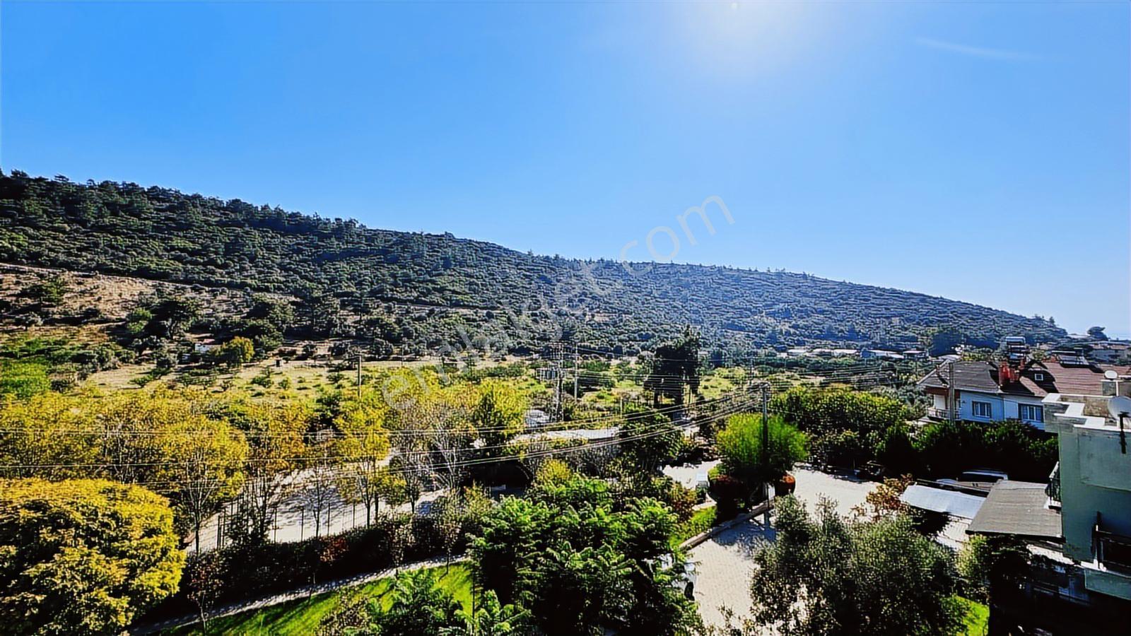 Özdere Ahmetbeyli Maydonoz Koyu Denize 900 M Satılık Villa - Görsel 28