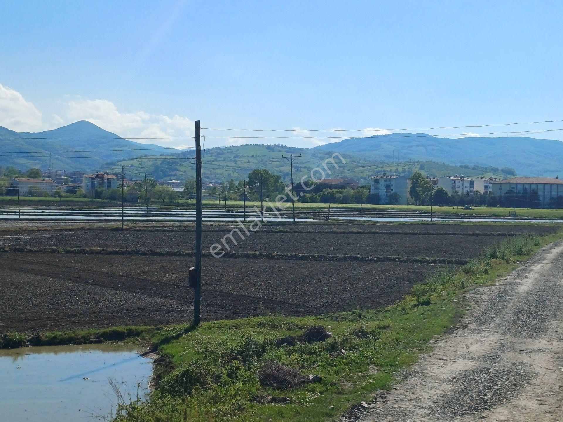 Samsun Alaçam Göçkün Mahallesinde Tek Tapu 14.659 M2 Yola Cephe, Eletrik Su Mevcut, Anayola 500 Mt - Görsel 26