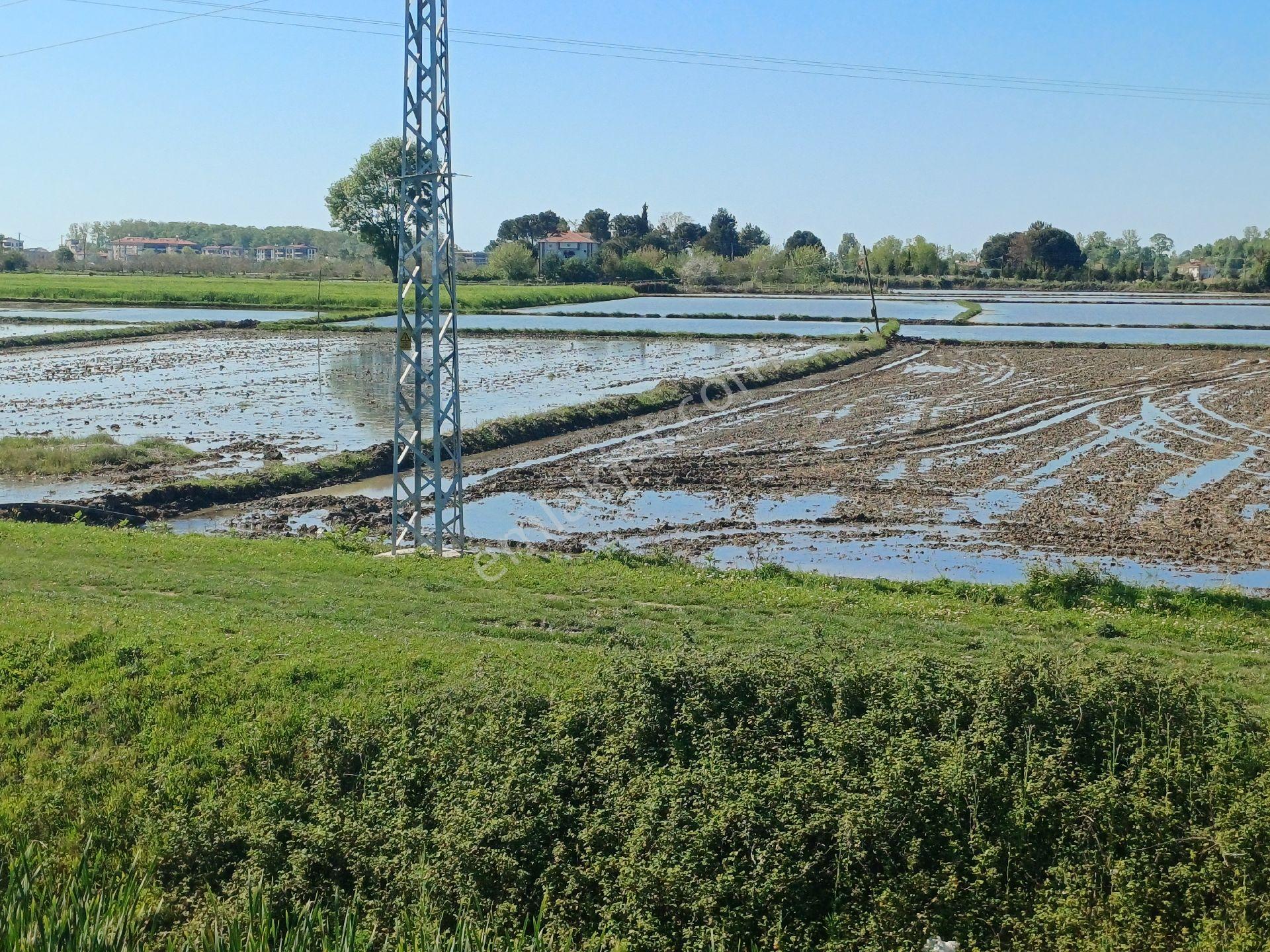 Samsun Alaçam Göçkün Mahallesinde Tek Tapu 14.659 M2 Yola Cephe, Eletrik Su Mevcut, Anayola 500 Mt - Görsel 16