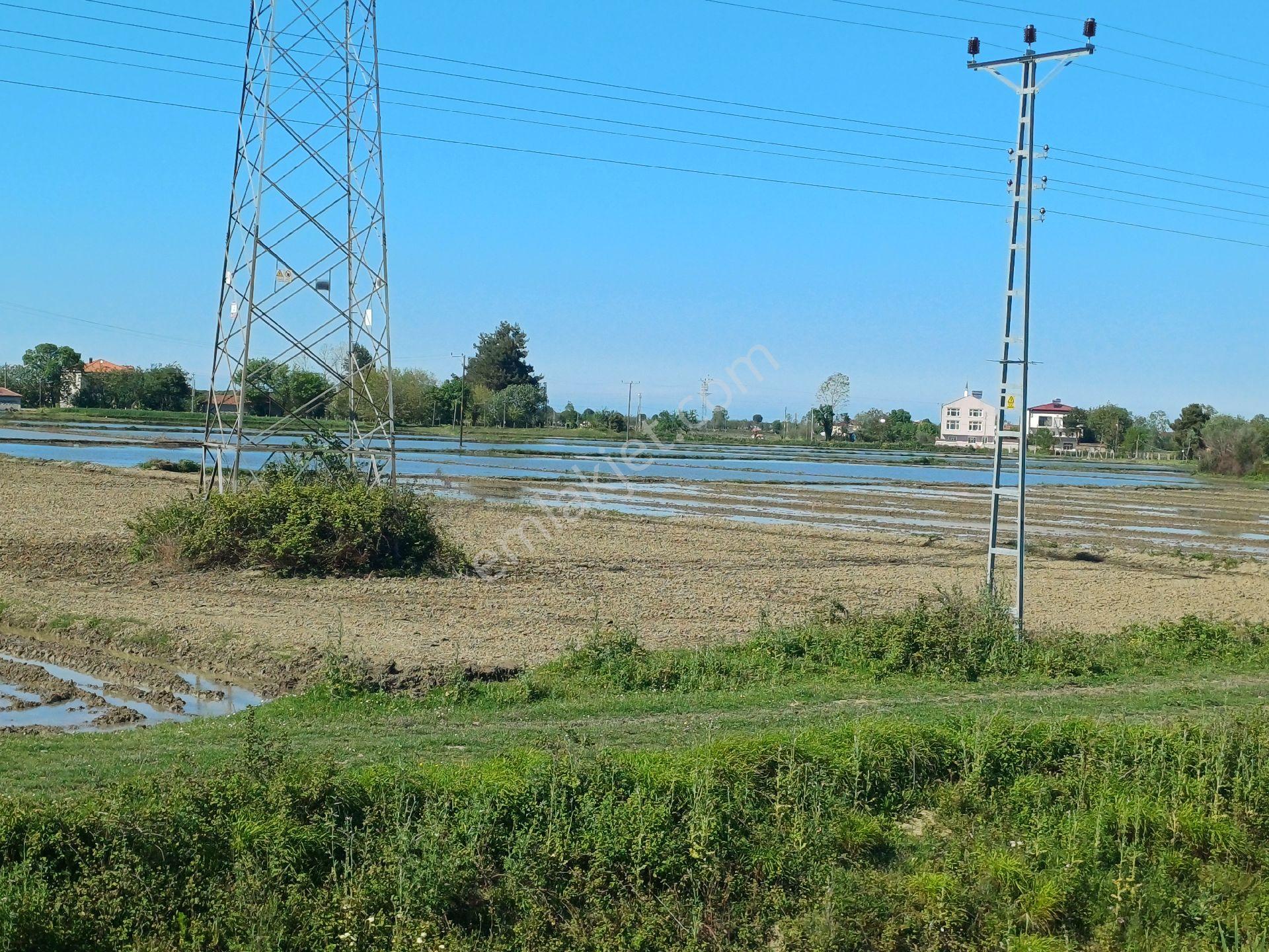Samsun Alaçam Göçkün Mahallesinde Tek Tapu 14.659 M2 Yola Cephe, Eletrik Su Mevcut, Anayola 500 Mt - Görsel 19