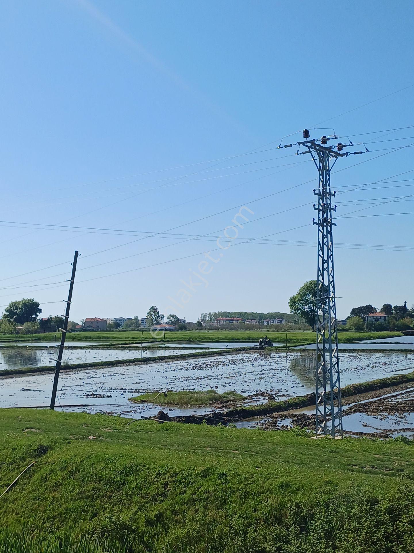 Samsun Alaçam Göçkün Mahallesinde Tek Tapu 14.659 M2 Yola Cephe, Eletrik Su Mevcut, Anayola 500 Mt - Görsel 8