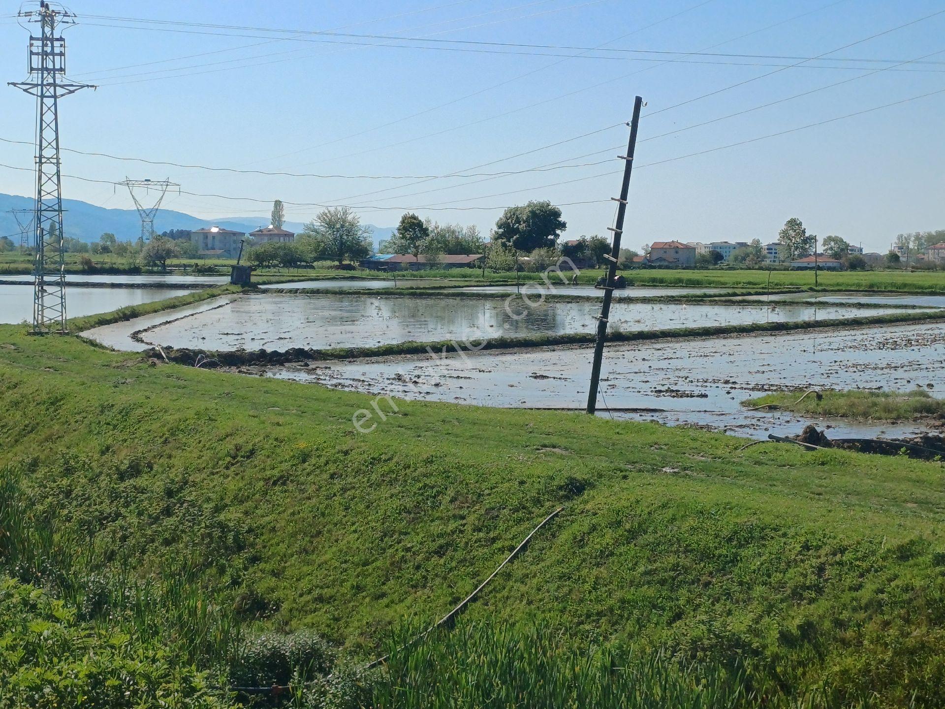 Samsun Alaçam Göçkün Mahallesinde Tek Tapu 14.659 M2 Yola Cephe, Eletrik Su Mevcut, Anayola 500 Mt - Görsel 23
