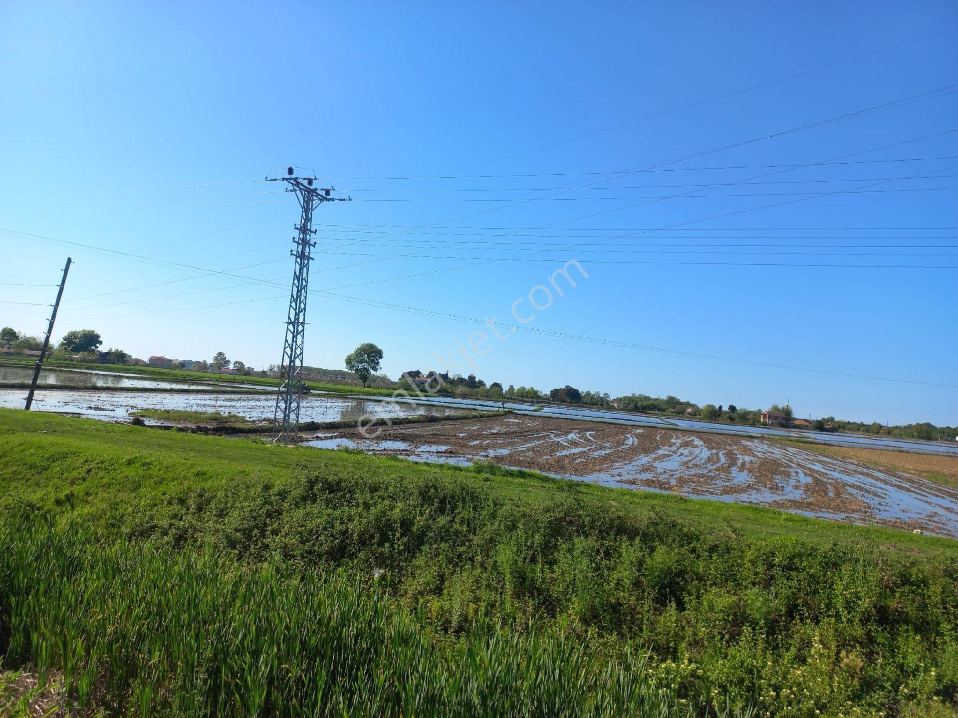 Samsun Alaçam Göçkün Mahallesinde Tek Tapu 14.659 M2 Yola Cephe, Eletrik Su Mevcut, Anayola 500 Mt - Görsel 2