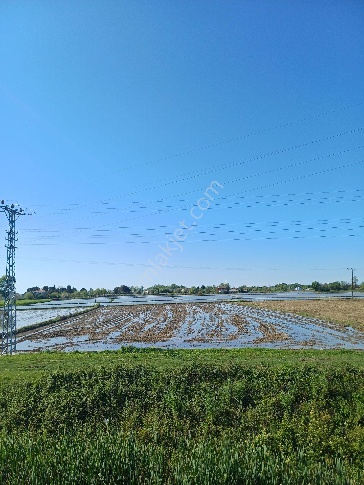 Samsun Alaçam Göçkün Mahallesinde Tek Tapu 14.659 M2 Yola Cephe, Eletrik Su Mevcut, Anayola 500 Mt - Görsel 13