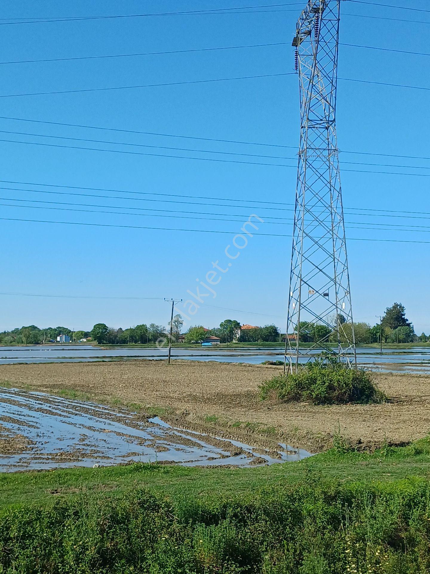Samsun Alaçam Göçkün Mahallesinde Tek Tapu 14.659 M2 Yola Cephe, Eletrik Su Mevcut, Anayola 500 Mt - Görsel 5