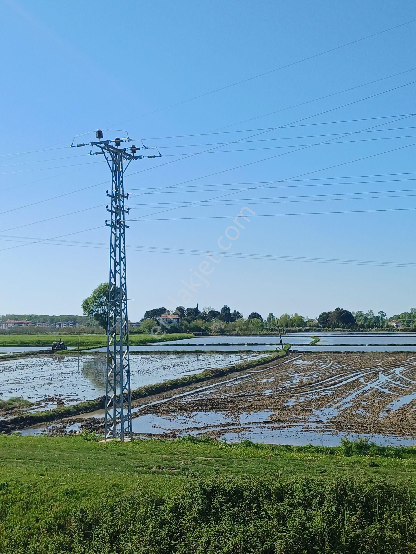 Samsun Alaçam Göçkün Mahallesinde Tek Tapu 14.659 M2 Yola Cephe, Eletrik Su Mevcut, Anayola 500 Mt - Görsel 7