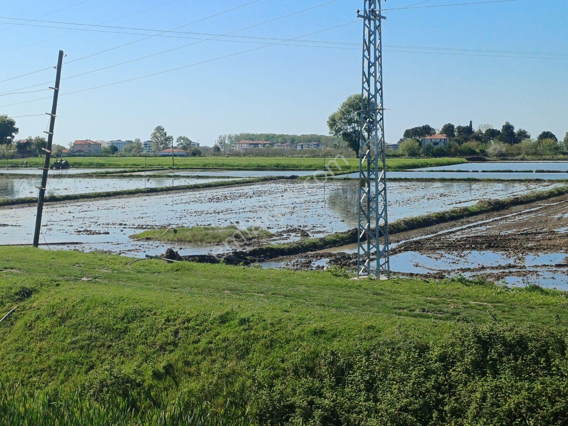 Samsun Alaçam Göçkün Mahallesinde Tek Tapu 14.659 M2 Yola Cephe, Eletrik Su Mevcut, Anayola 500 Mt - Görsel 22