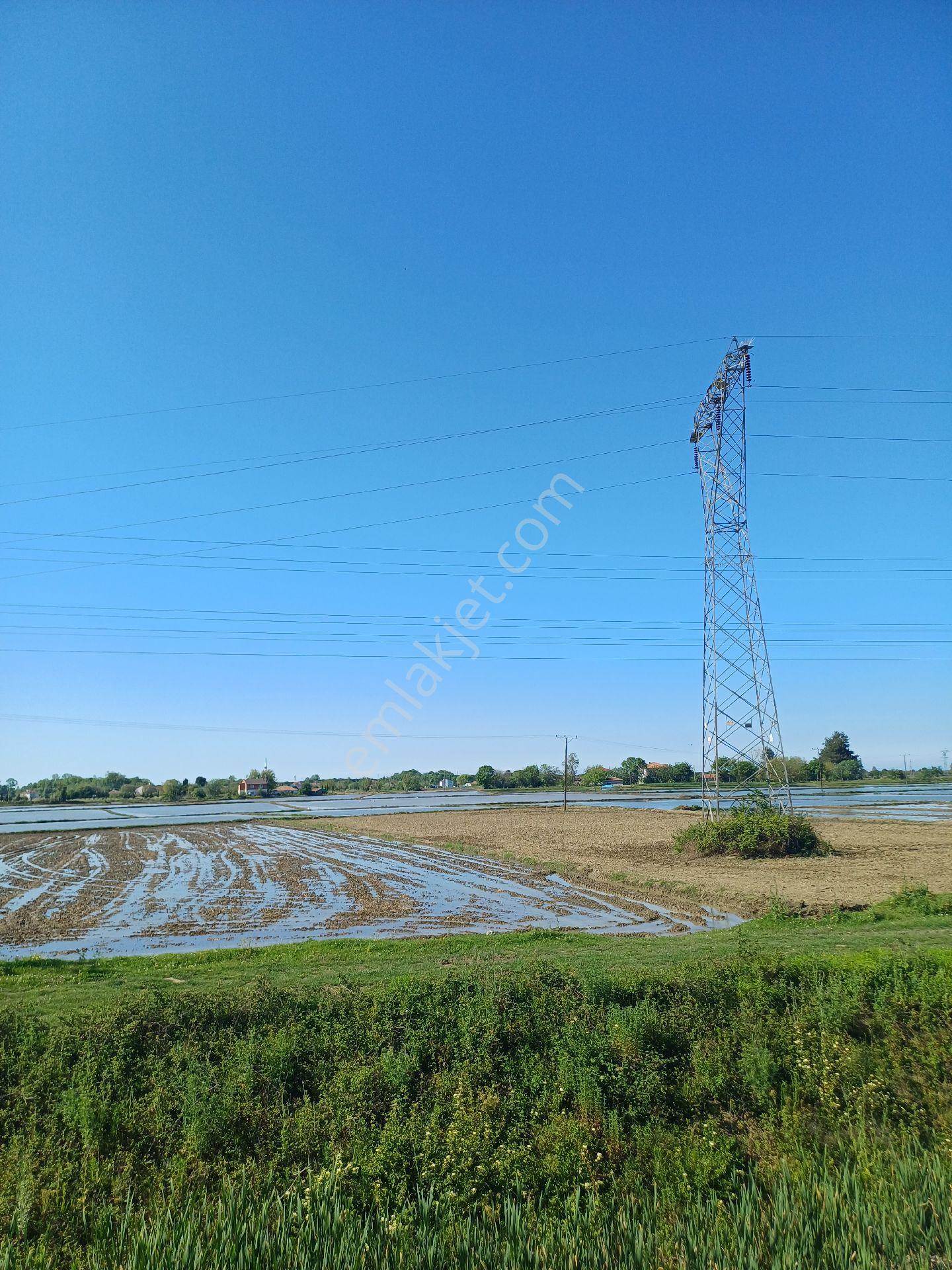 Samsun Alaçam Göçkün Mahallesinde Tek Tapu 14.659 M2 Yola Cephe, Eletrik Su Mevcut, Anayola 500 Mt - Görsel 14