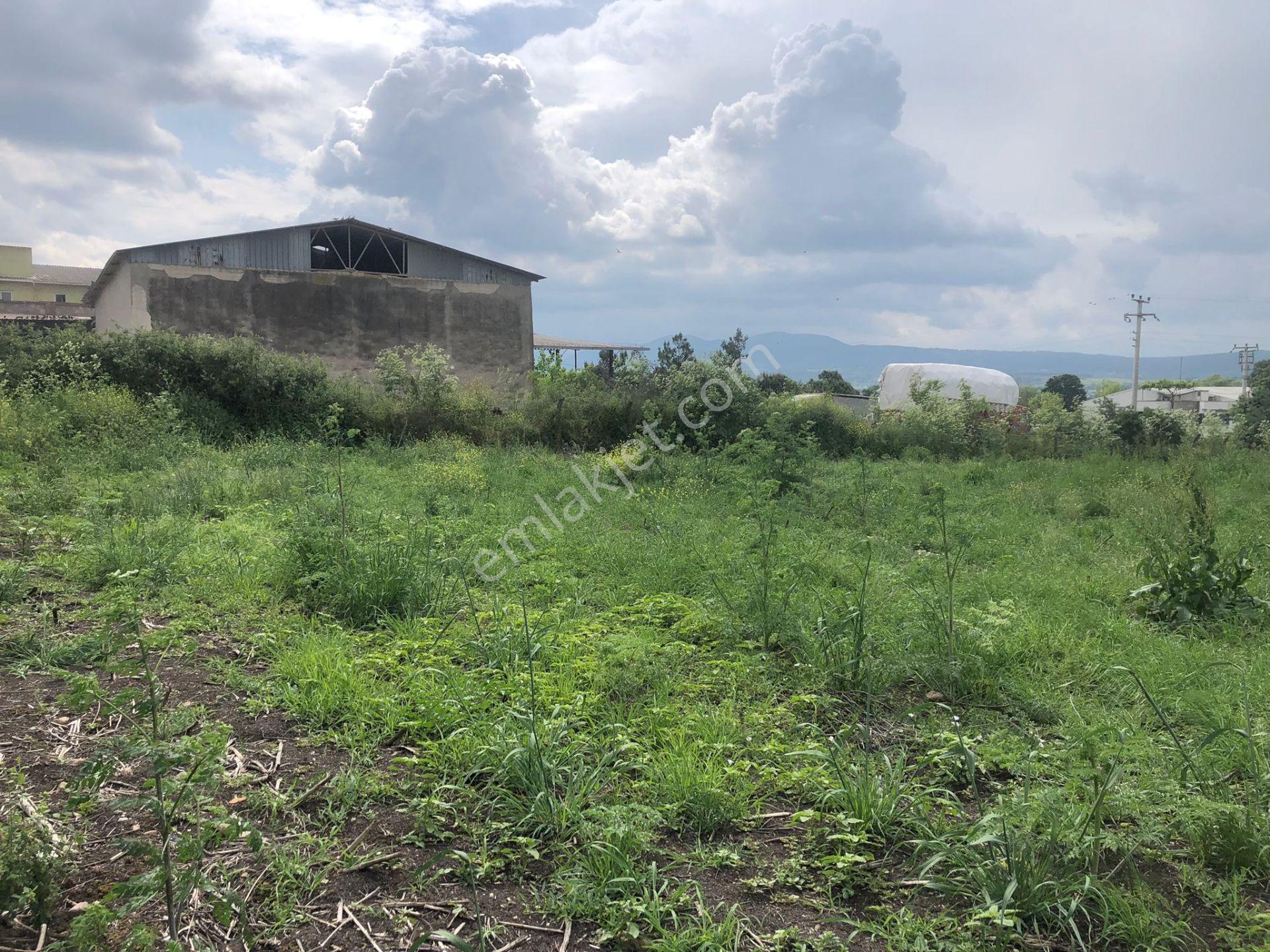 Cb King'den Gönen/kurtuluş Mahallesi 5222m² Satılık Ticari Arsa - Görsel 7