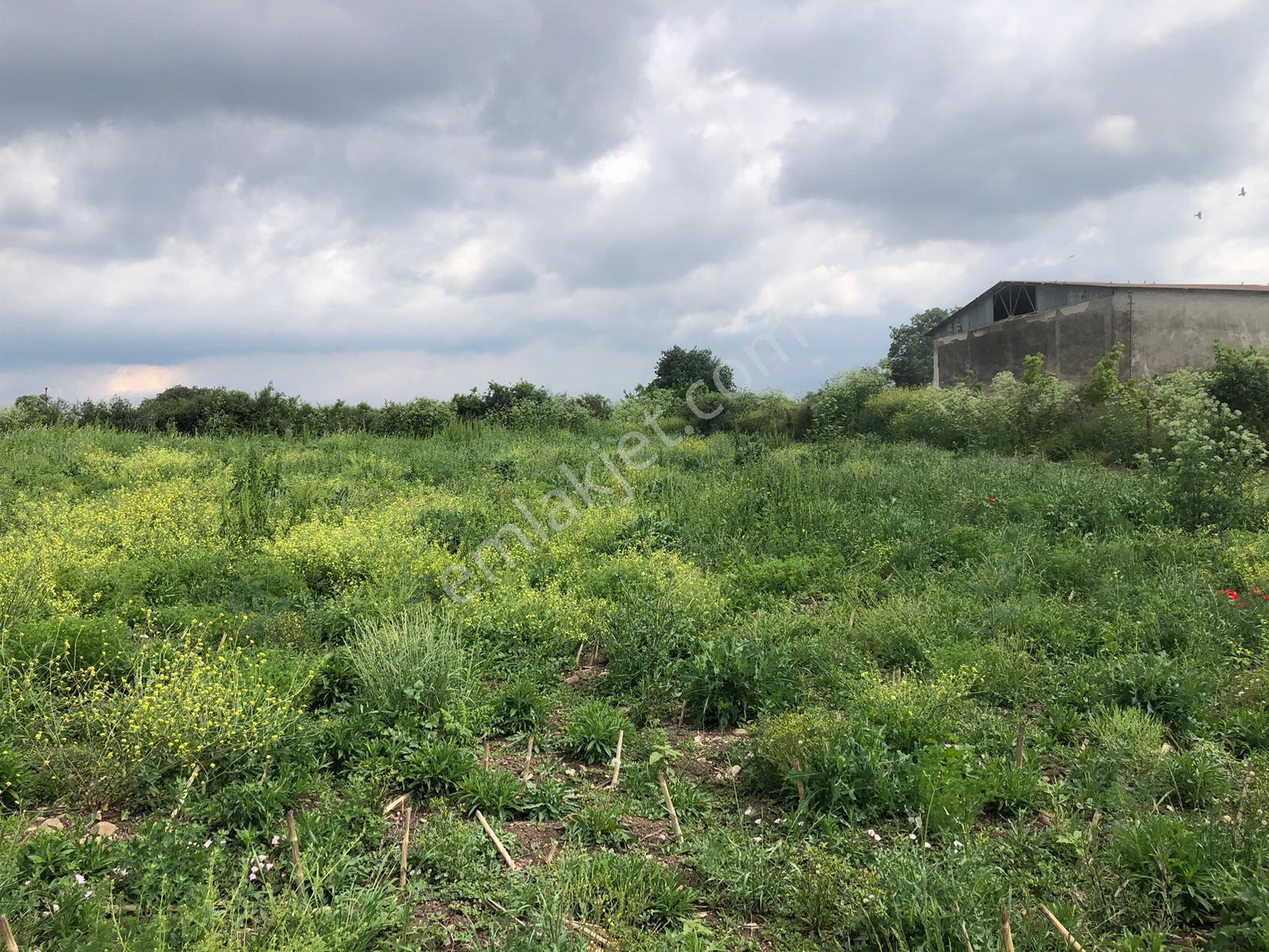 Cb King'den Gönen/kurtuluş Mahallesi 5222m² Satılık Ticari Arsa - Görsel 3