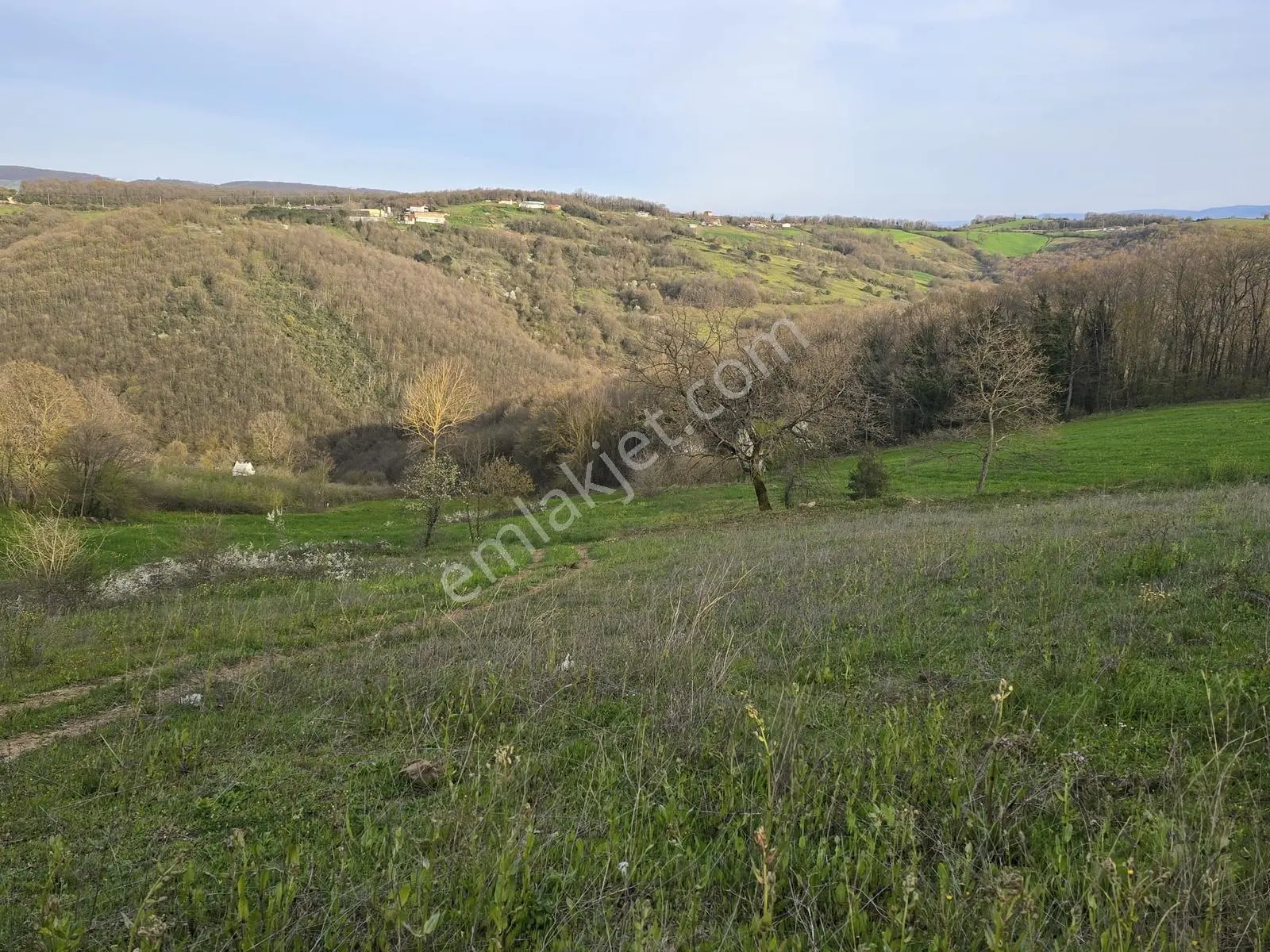 Kocaeli İzmit Kaynarca Mevki 119/174 Satılık 2.024m2 Tarla - Görsel 12