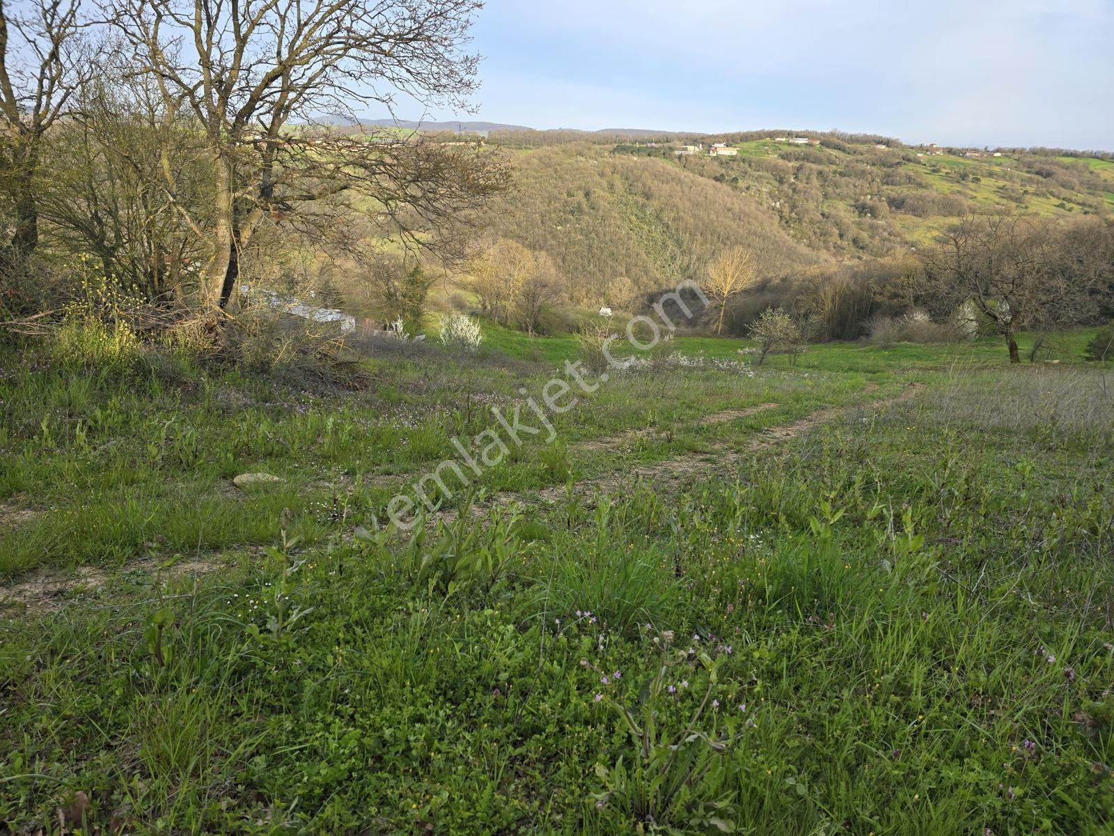 Kocaeli İzmit Kaynarca Mevki 119/174 Satılık 2.024m2 Tarla - Görsel 20