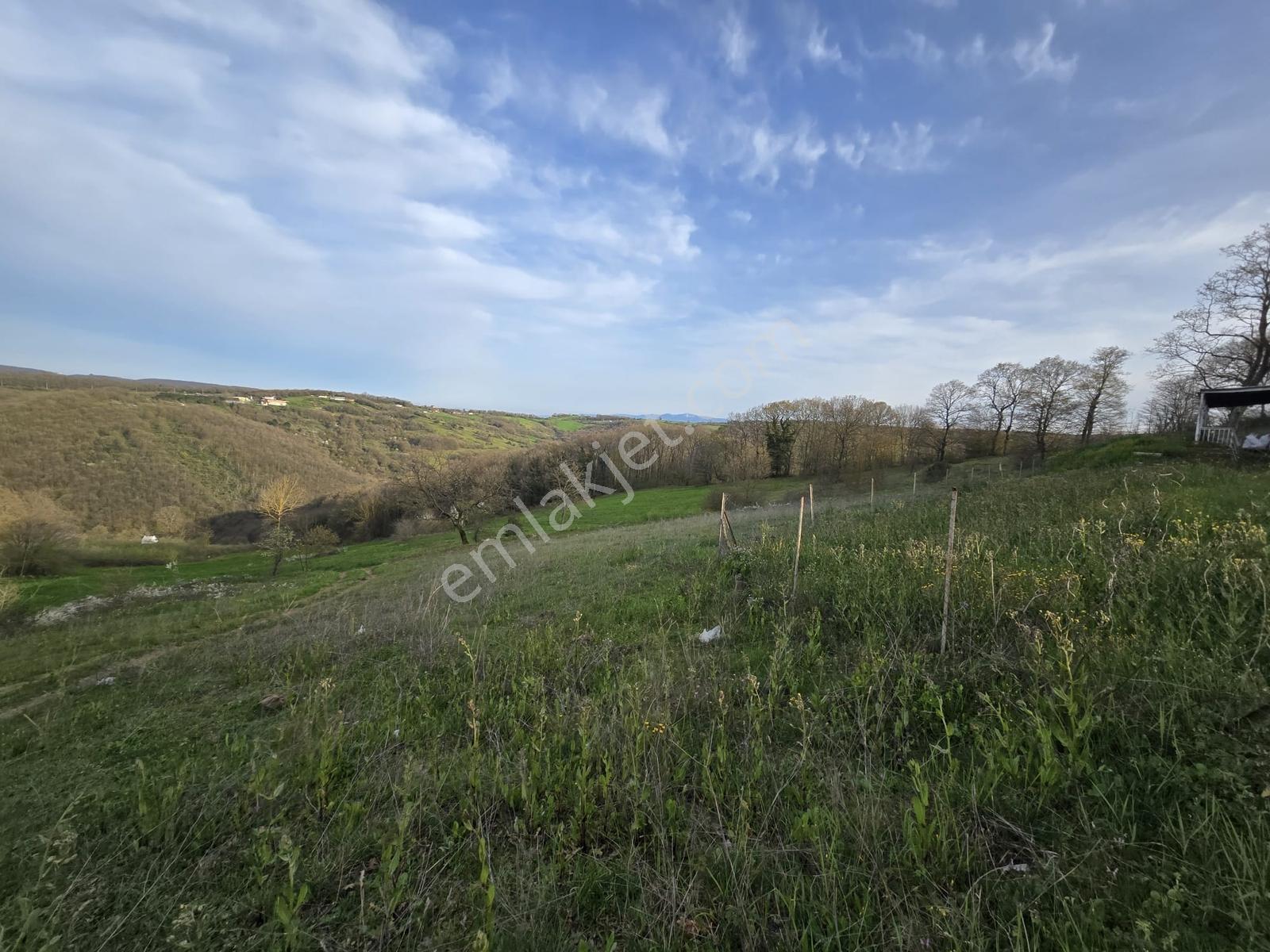 Kocaeli İzmit Kaynarca Mevki 119/174 Satılık 2.024m2 Tarla