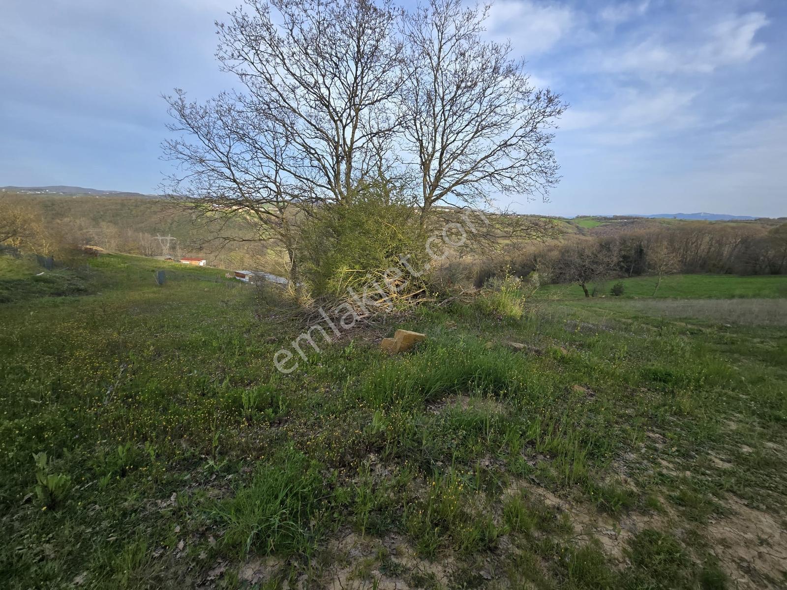 Kocaeli İzmit Kaynarca Mevki 119/174 Satılık 2.024m2 Tarla - Görsel 21