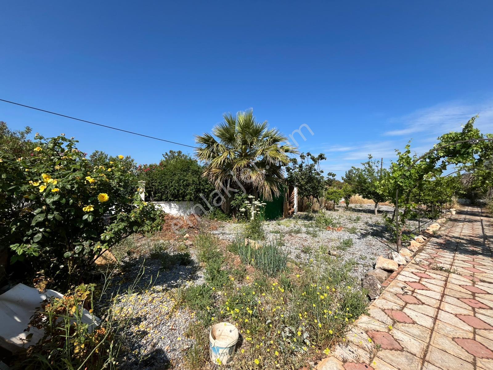 Didim Seyrantepede 1,242m2 Arsa Üzerinde Satılık Villa - Görsel 15