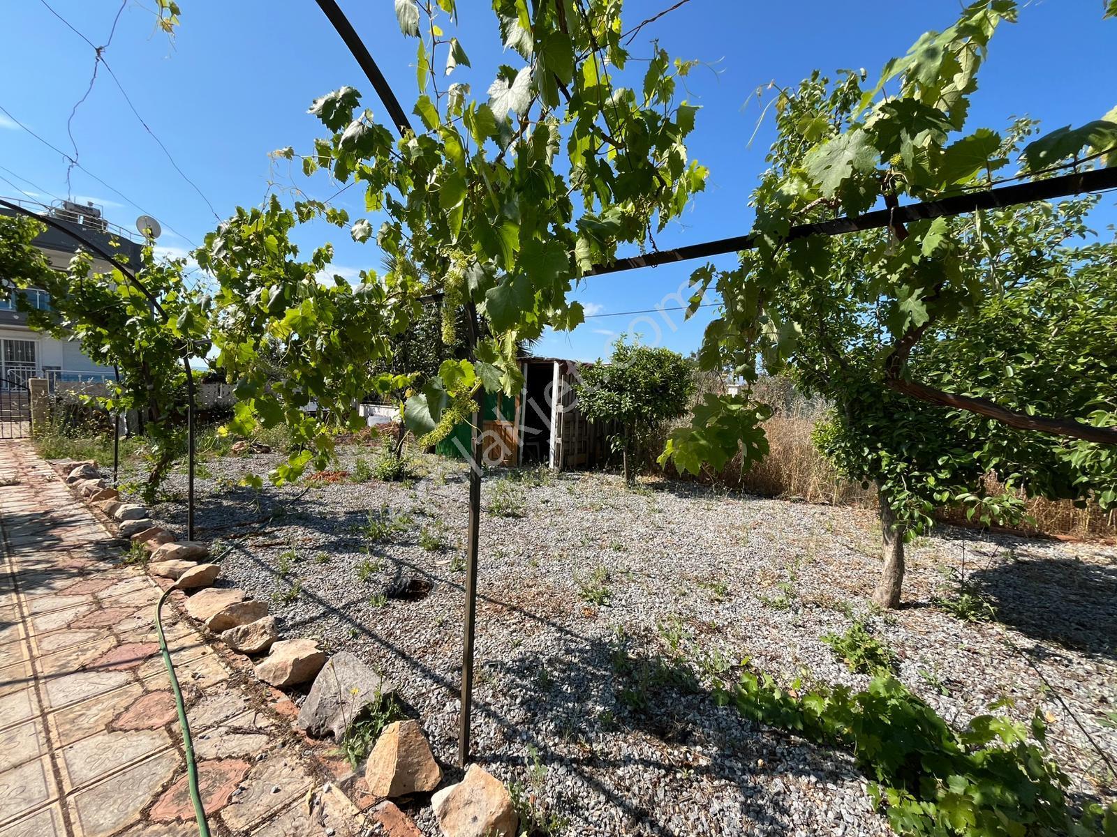 Didim Seyrantepede 1,242m2 Arsa Üzerinde Satılık Villa - Görsel 12