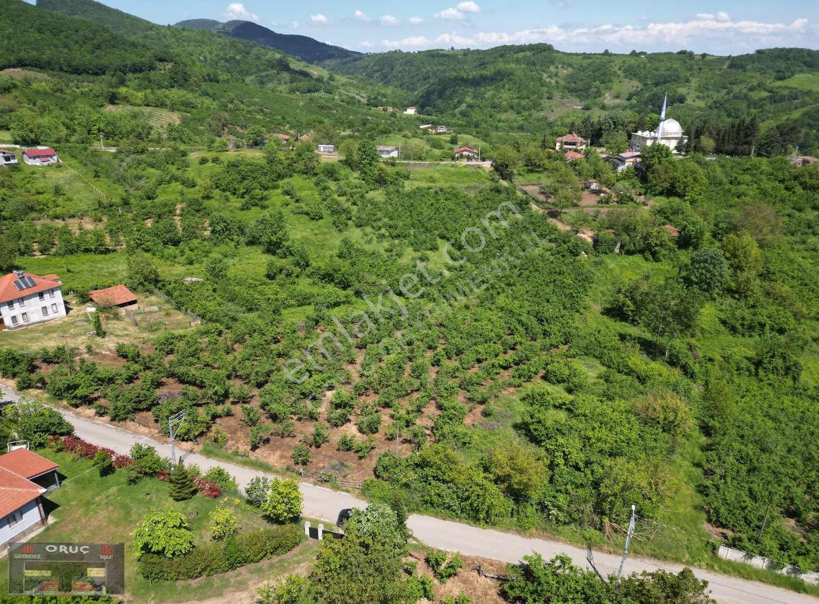 Oruç Gayrimenkulden Güldibinde 2300m² Fırsat! İmarlı Köşe Parsel - Görsel 5