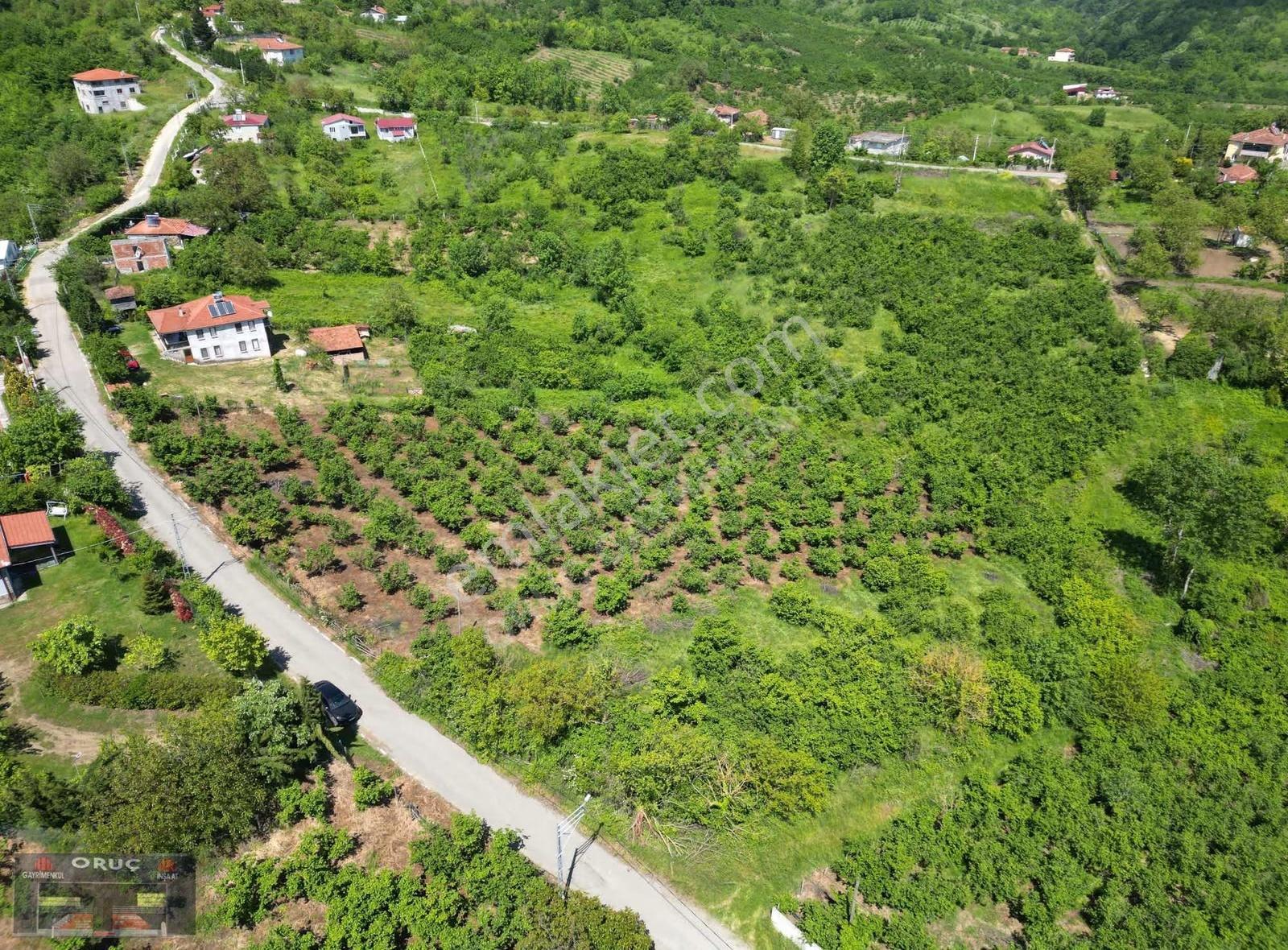 Oruç Gayrimenkulden Güldibinde 2300m² Fırsat! İmarlı Köşe Parsel - Görsel 3