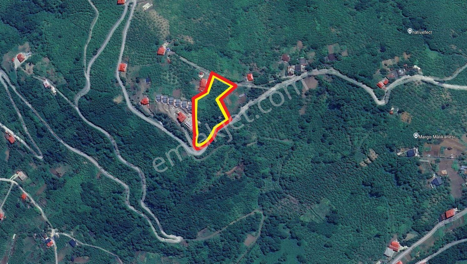 Trabzon Çarşıbaşı Kerem Deniz Manzaralı 4.919 M2 Satılık Arsa - Görsel 37
