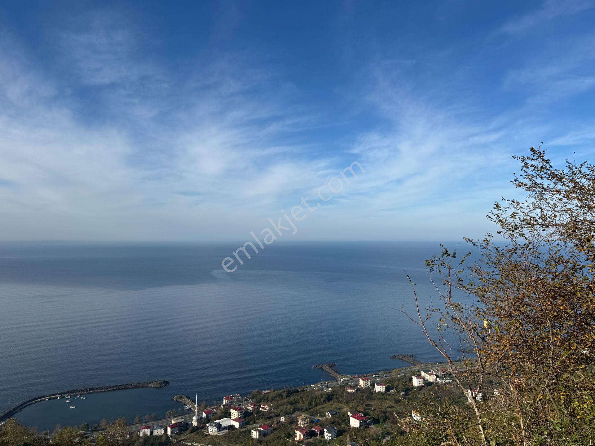 Trabzon Çarşıbaşı Kerem Deniz Manzaralı 4.919 M2 Satılık Arsa - Görsel 3