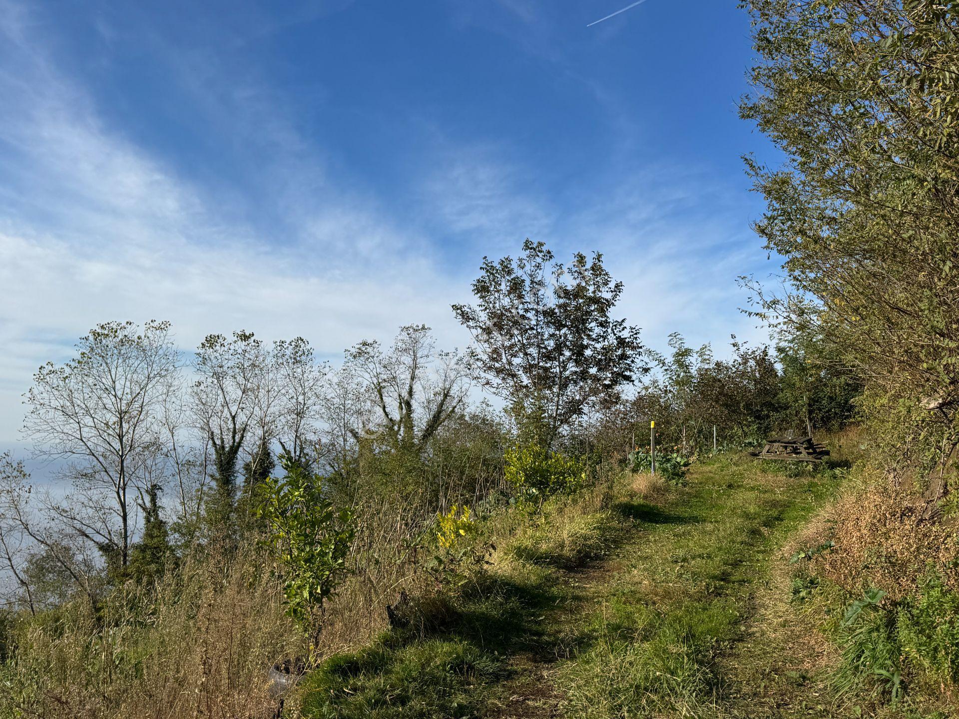 Trabzon Çarşıbaşı Kerem Deniz Manzaralı 4.919 M2 Satılık Arsa - Görsel 14