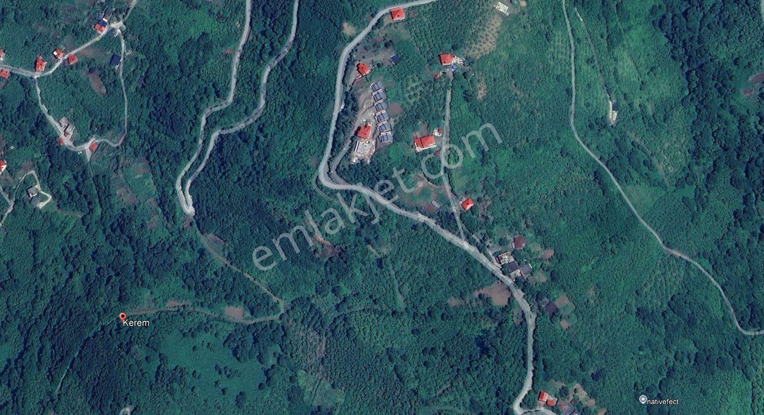 Trabzon Çarşıbaşı Kerem Deniz Manzaralı 4.919 M2 Satılık Arsa - Görsel 38