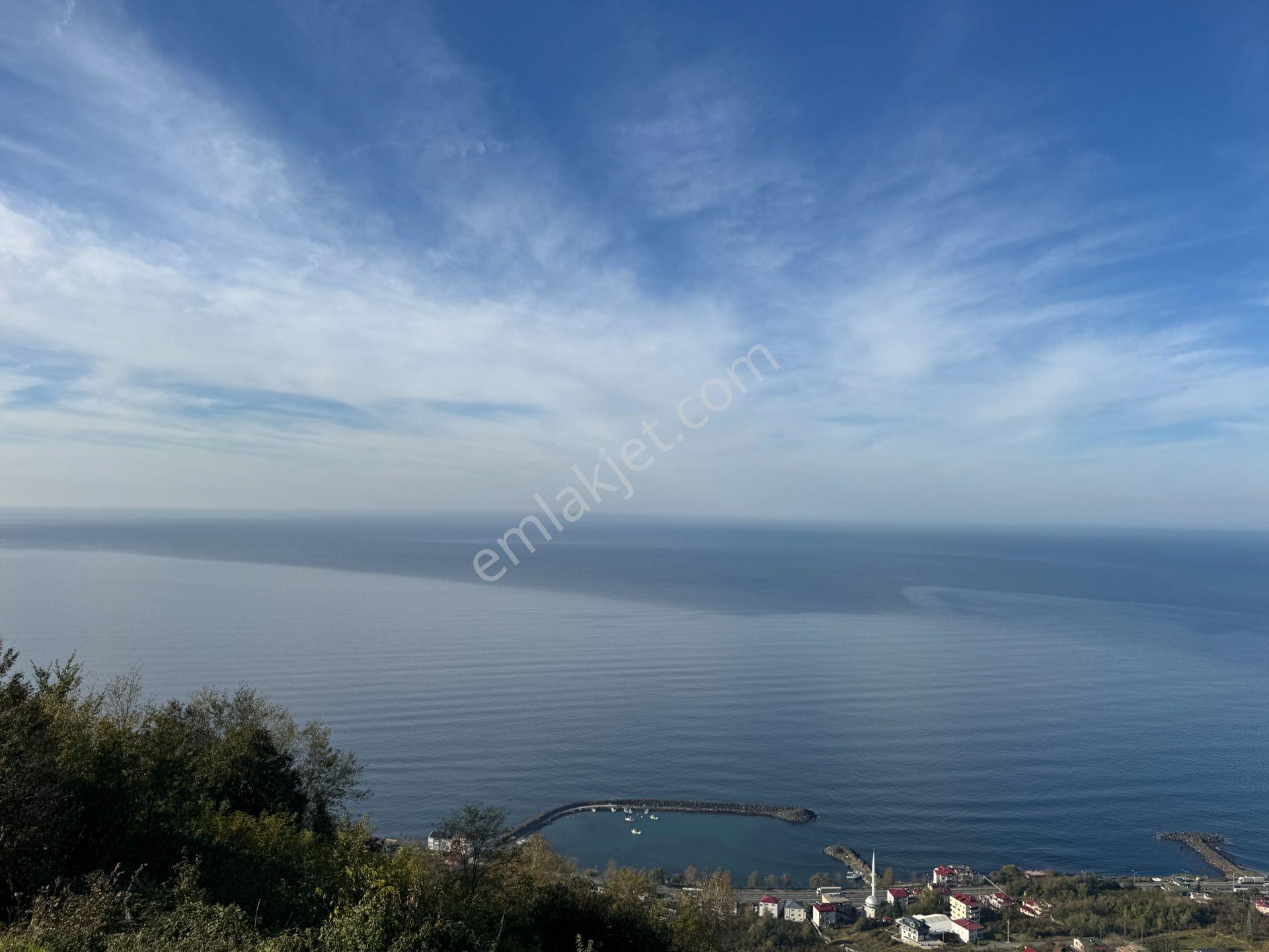 Trabzon Çarşıbaşı Kerem Deniz Manzaralı 4.919 M2 Satılık Arsa - Görsel 2
