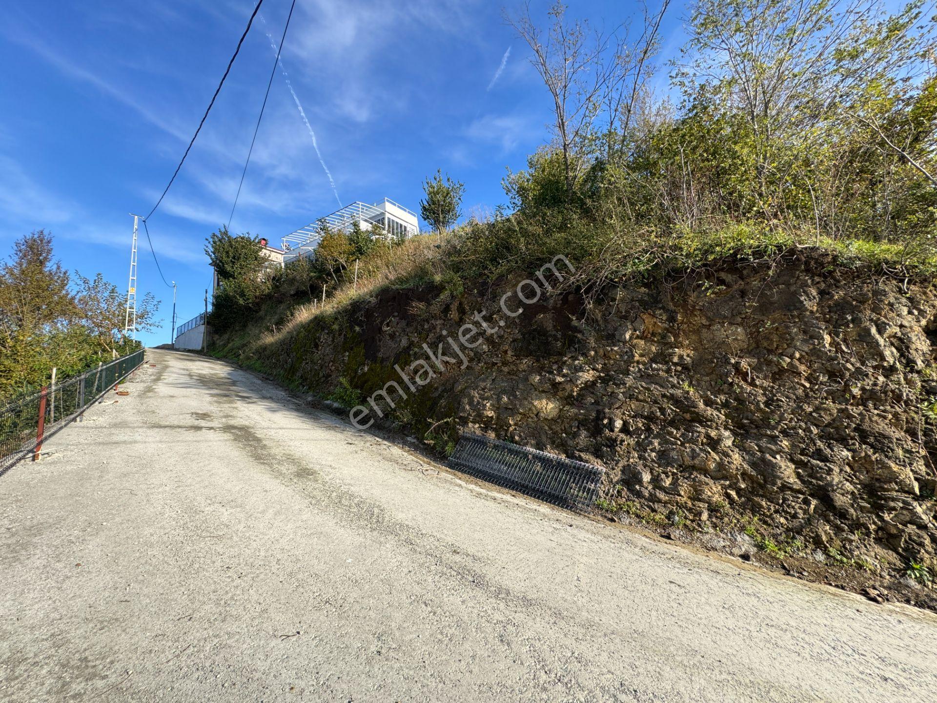 Trabzon Çarşıbaşı Kerem Deniz Manzaralı 4.919 M2 Satılık Arsa - Görsel 22