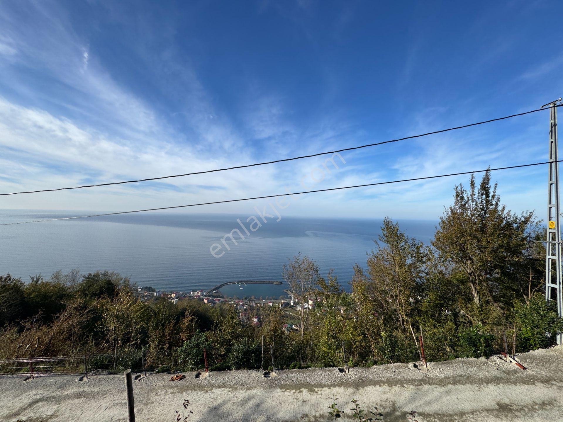 Trabzon Çarşıbaşı Kerem Deniz Manzaralı 4.919 M2 Satılık Arsa - Görsel 23