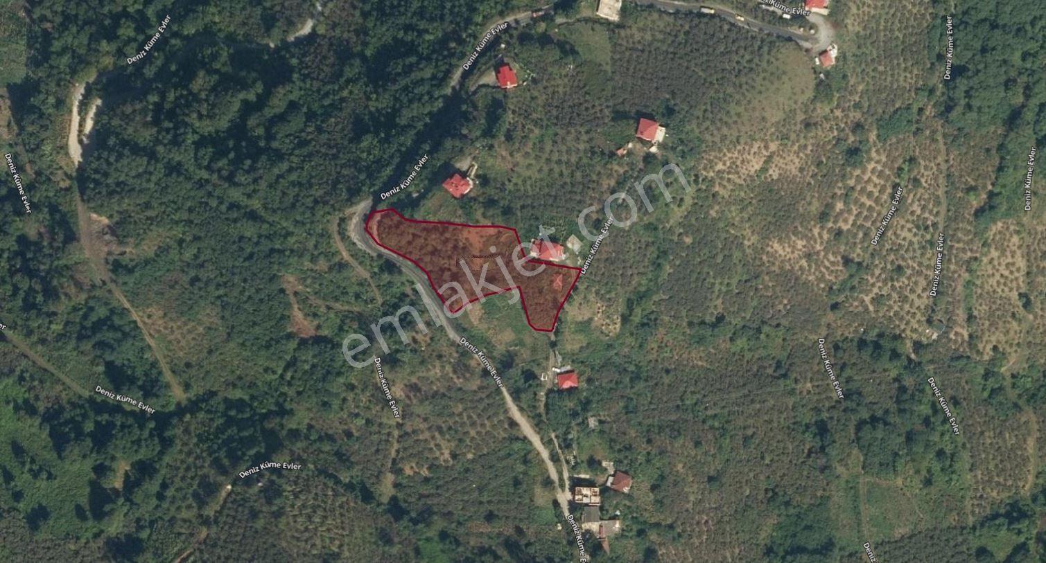 Trabzon Çarşıbaşı Kerem Deniz Manzaralı 4.919 M2 Satılık Arsa - Görsel 5