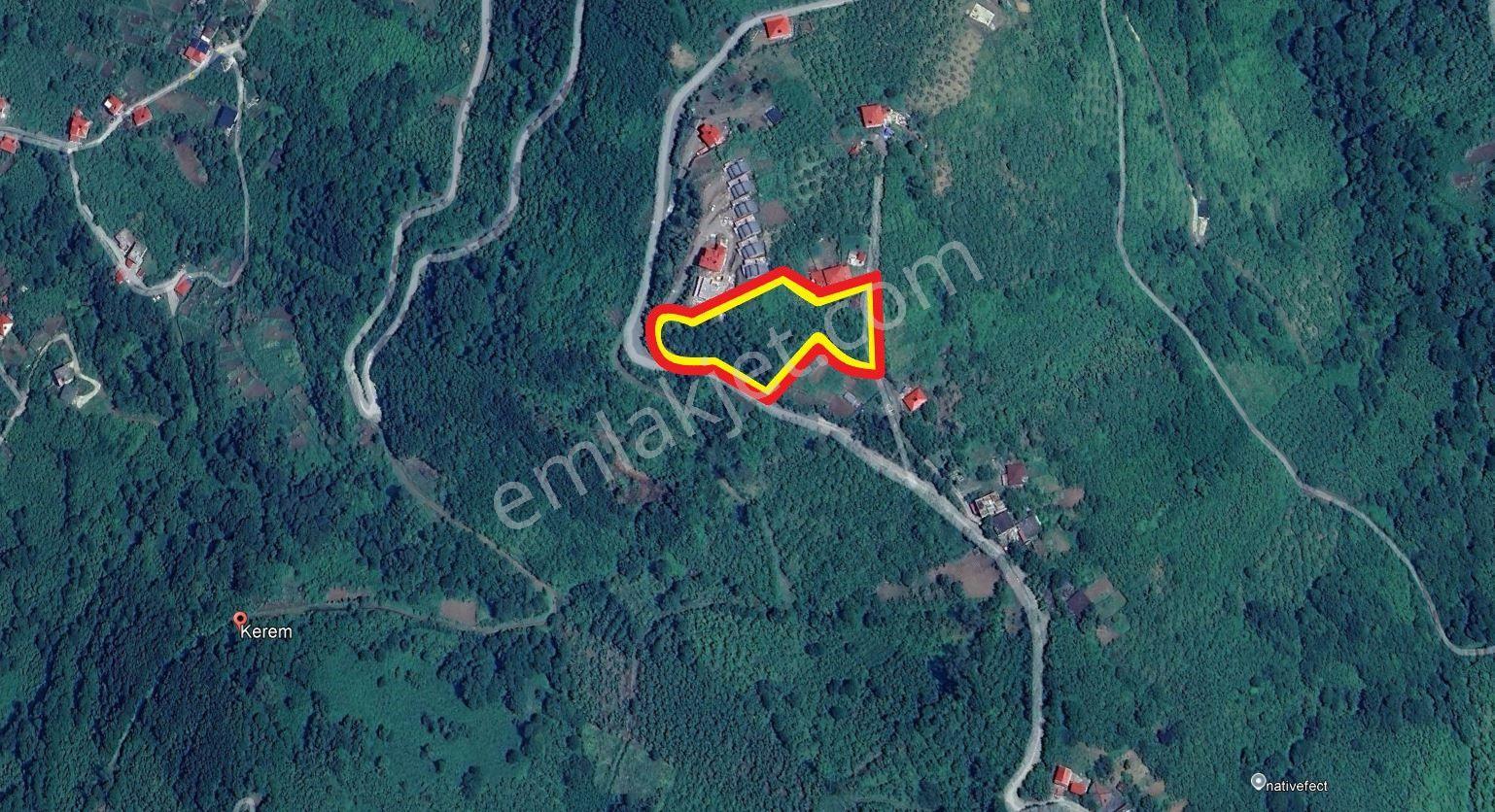 Trabzon Çarşıbaşı Kerem Deniz Manzaralı 4.919 M2 Satılık Arsa - Görsel 36