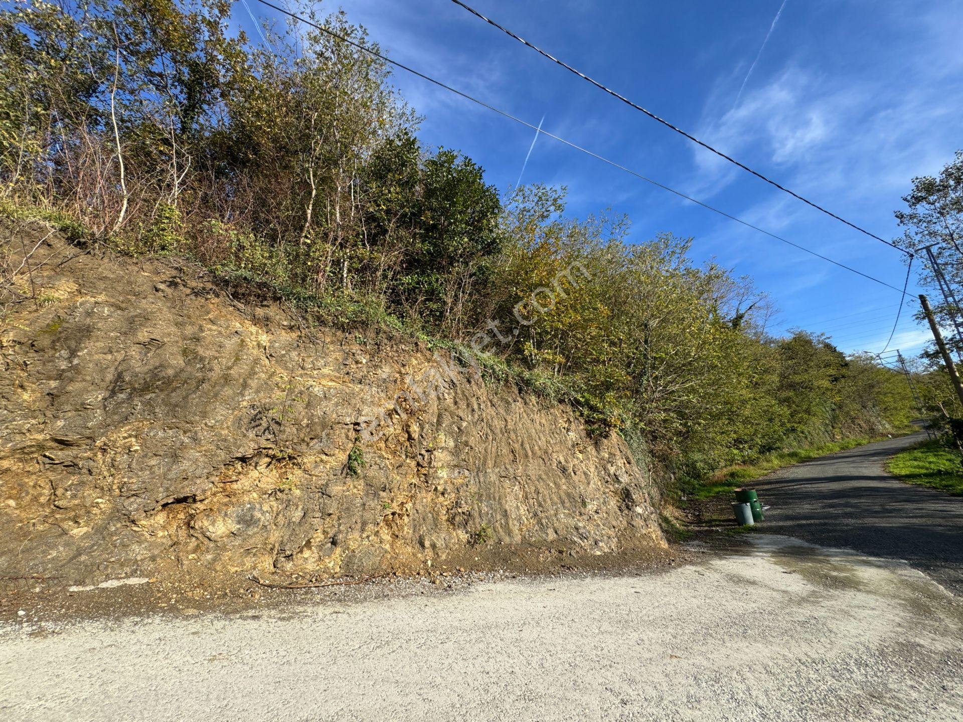Trabzon Çarşıbaşı Kerem Deniz Manzaralı 4.919 M2 Satılık Arsa - Görsel 18