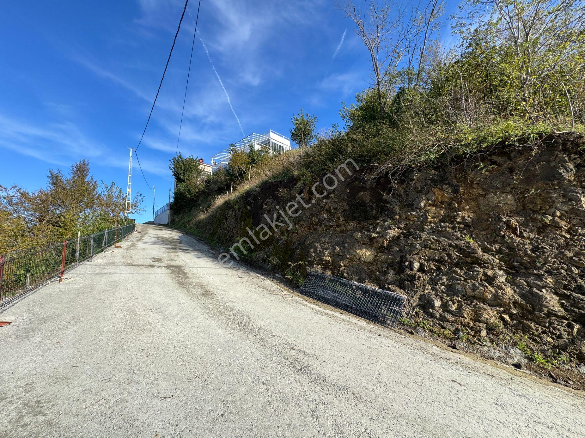Trabzon Çarşıbaşı Kerem Deniz Manzaralı 4.919 M2 Satılık Arsa - Görsel 20