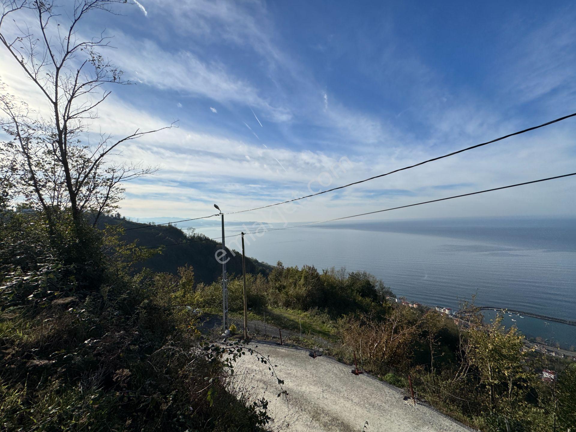 Trabzon Çarşıbaşı Kerem Deniz Manzaralı 4.919 M2 Satılık Arsa - Görsel 27