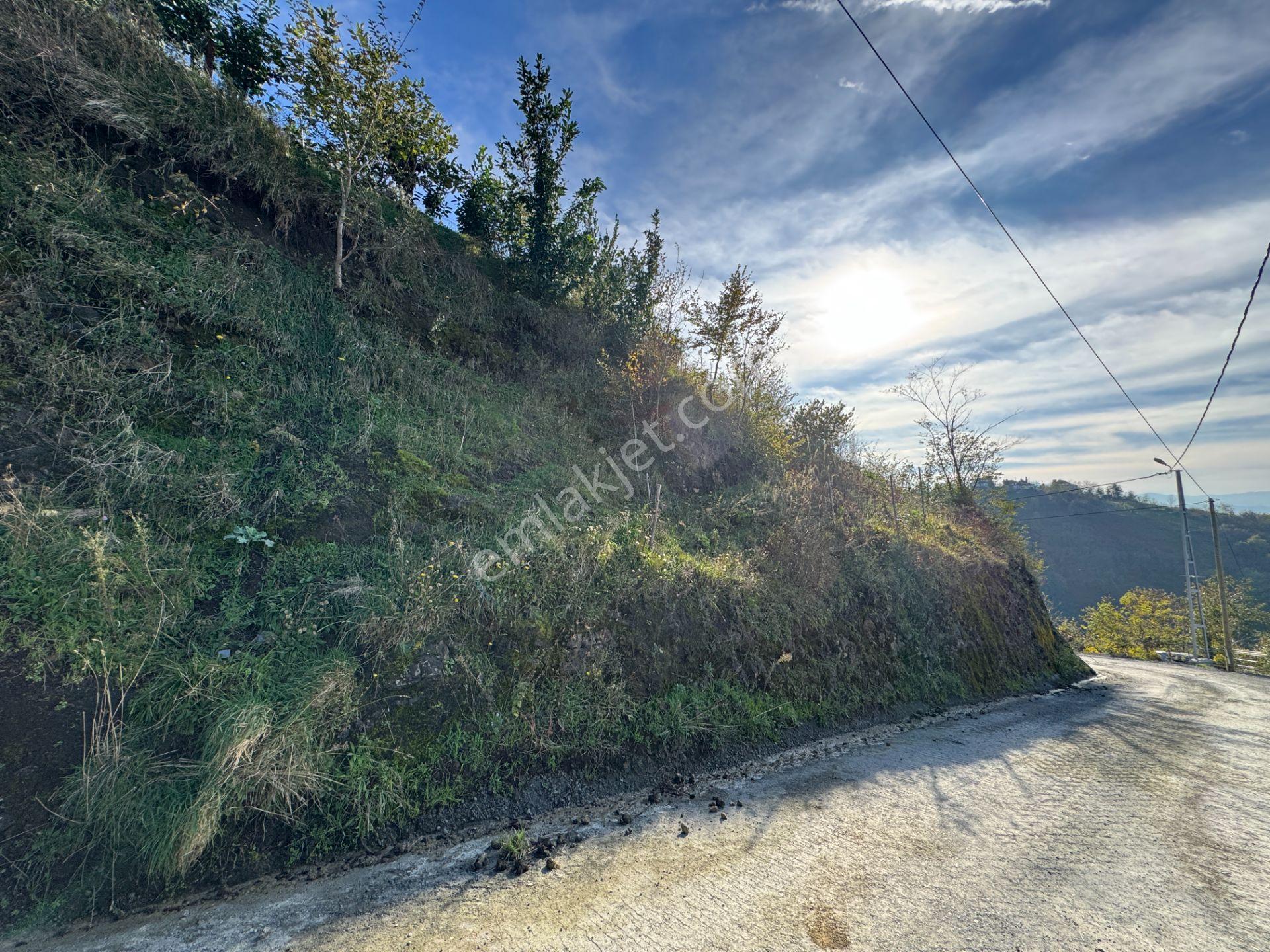 Trabzon Çarşıbaşı Kerem Deniz Manzaralı 4.919 M2 Satılık Arsa - Görsel 31
