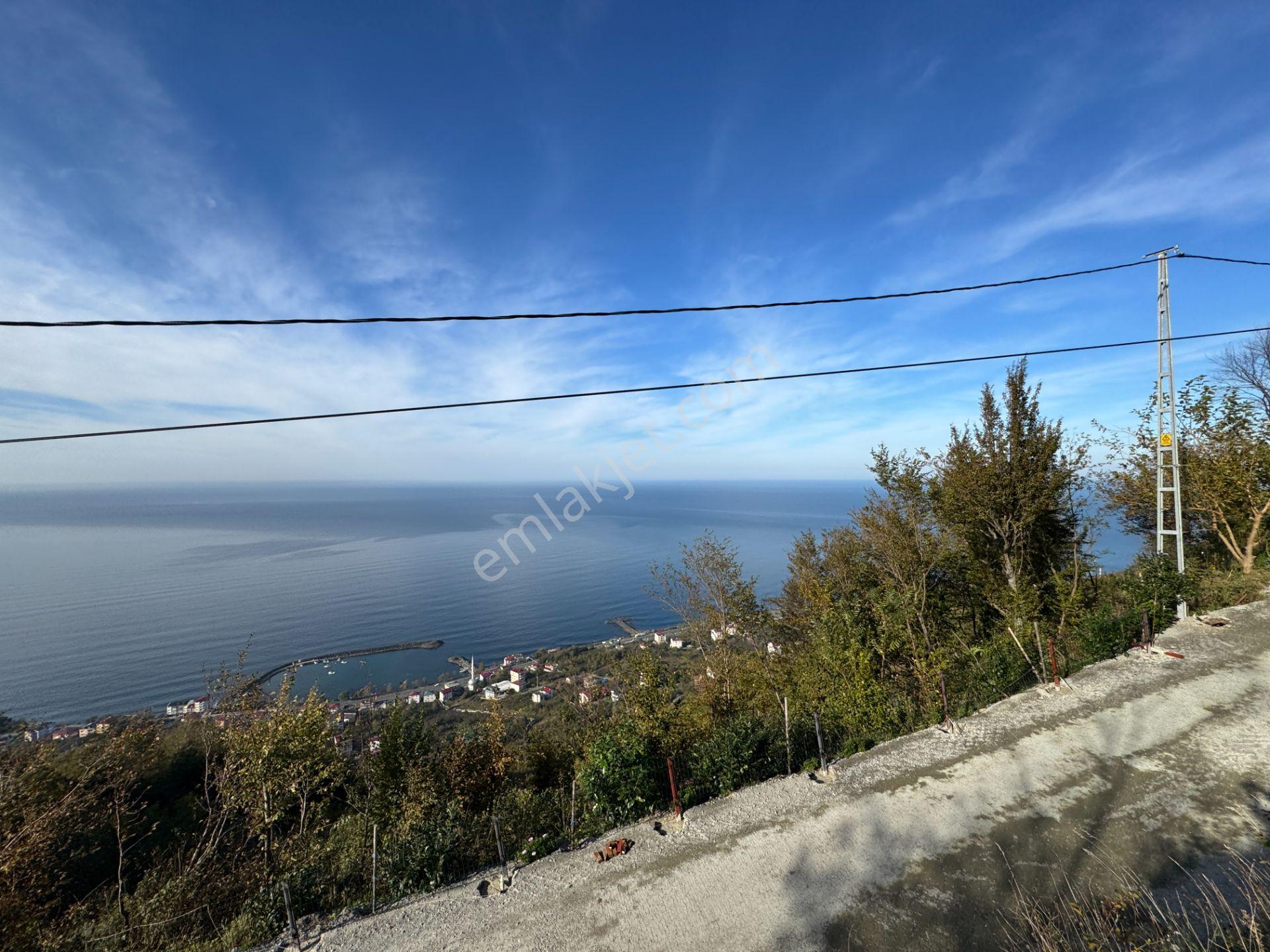 Trabzon Çarşıbaşı Kerem Deniz Manzaralı 4.919 M2 Satılık Arsa - Görsel 29