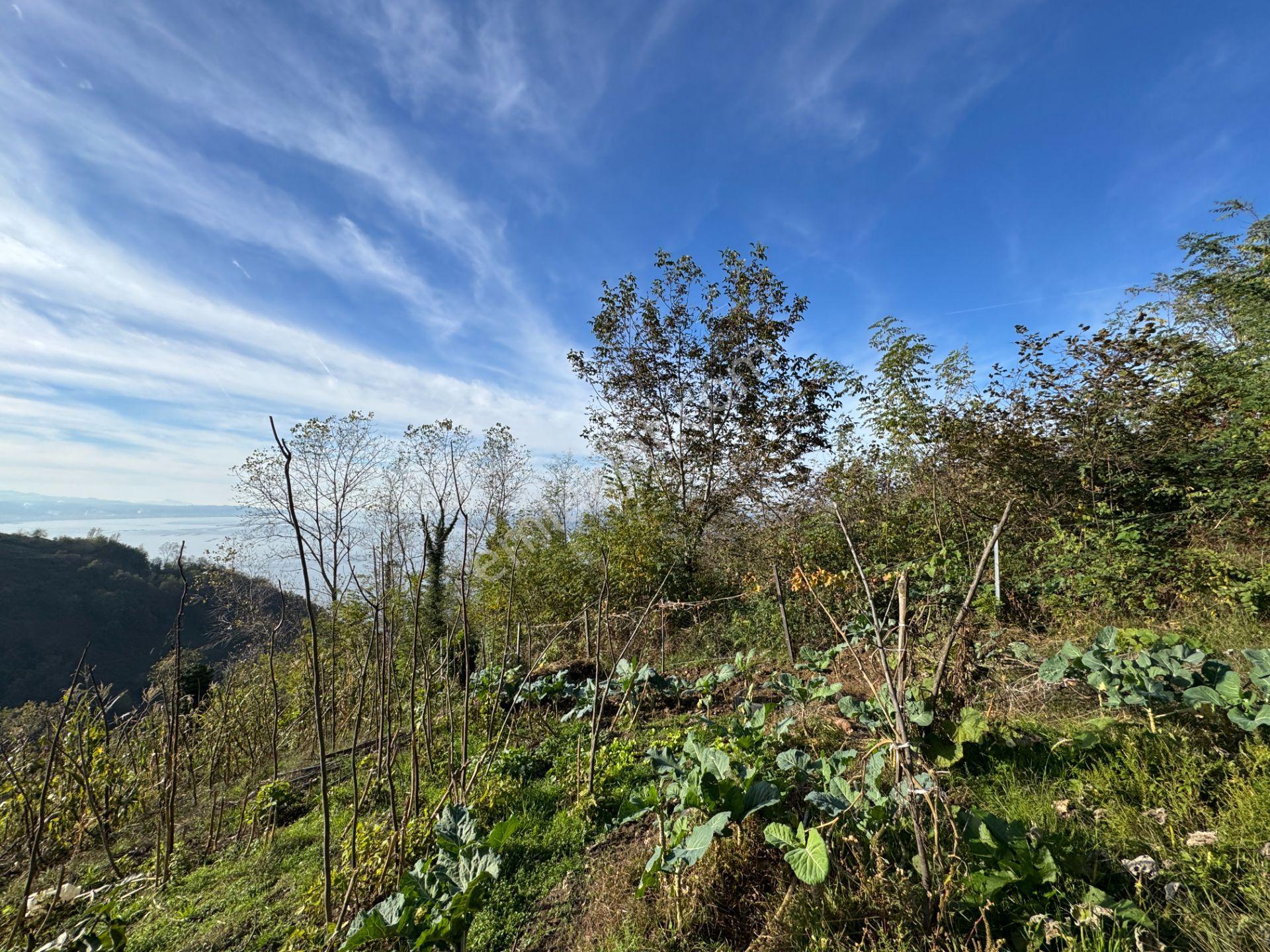 Trabzon Çarşıbaşı Kerem Deniz Manzaralı 4.919 M2 Satılık Arsa - Görsel 16