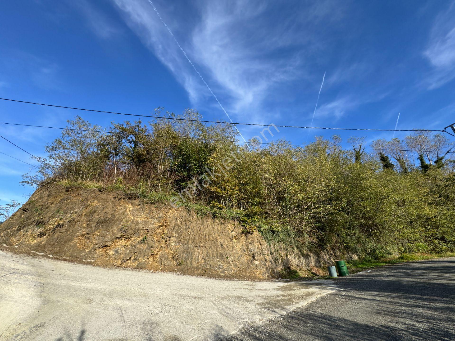 Trabzon Çarşıbaşı Kerem Deniz Manzaralı 4.919 M2 Satılık Arsa - Görsel 19