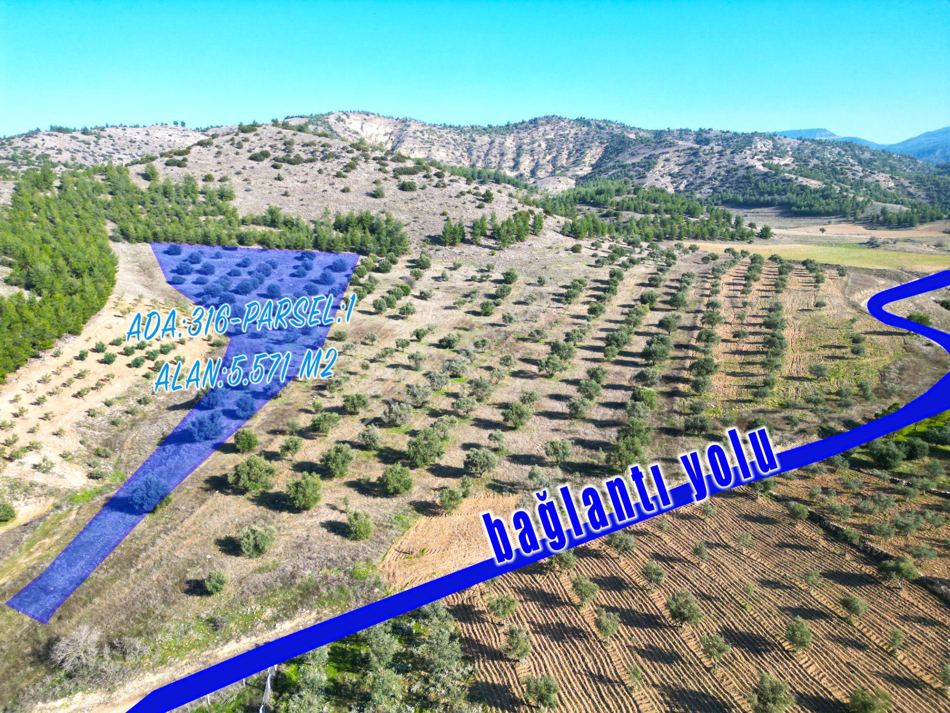 Nexus Point'ten Haytabey'de Satılık Tarla