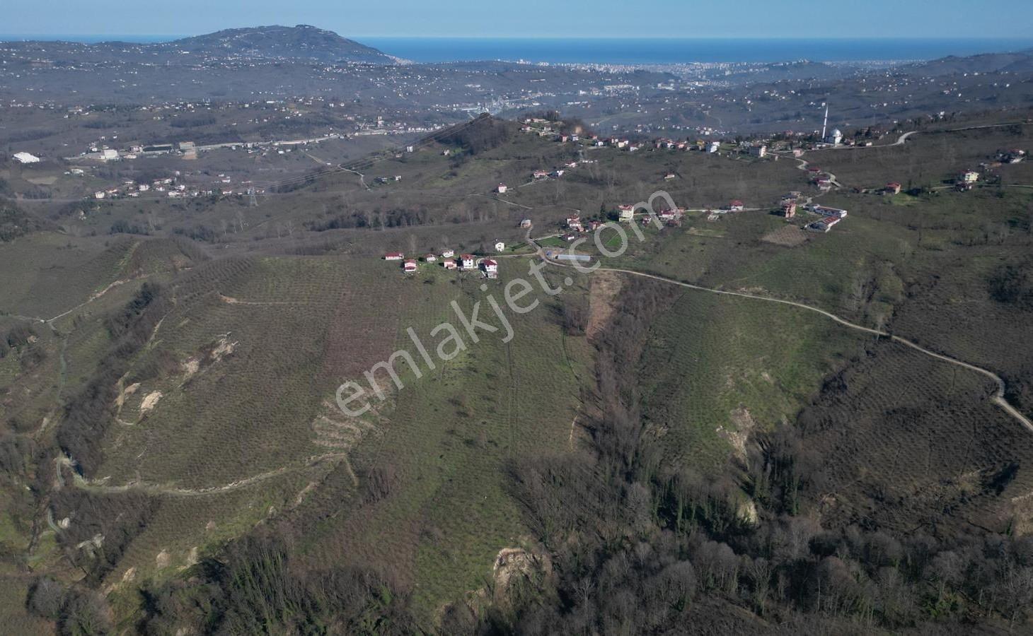 Resuloğlu Emlak'tan Delikkaya Övündük Mahnde 18.600 M² Bahçe - Görsel 4
