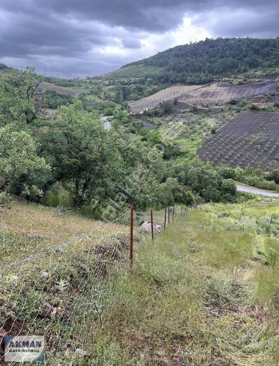 Kocakağan Mh De 22 Dönüm Antep Fıstığı İle Zeytin Lik - Görsel 9