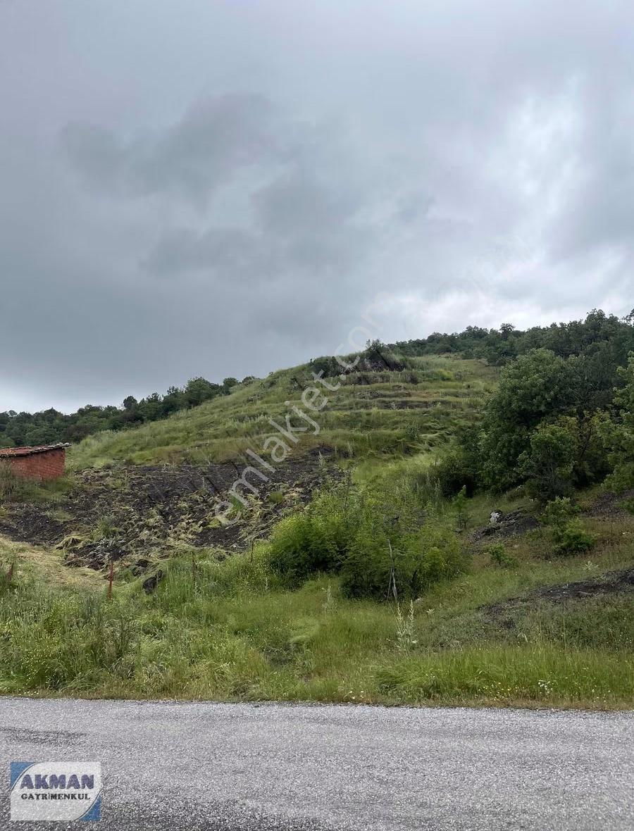 Kocakağan Mh De 22 Dönüm Antep Fıstığı İle Zeytin Lik - Görsel 21