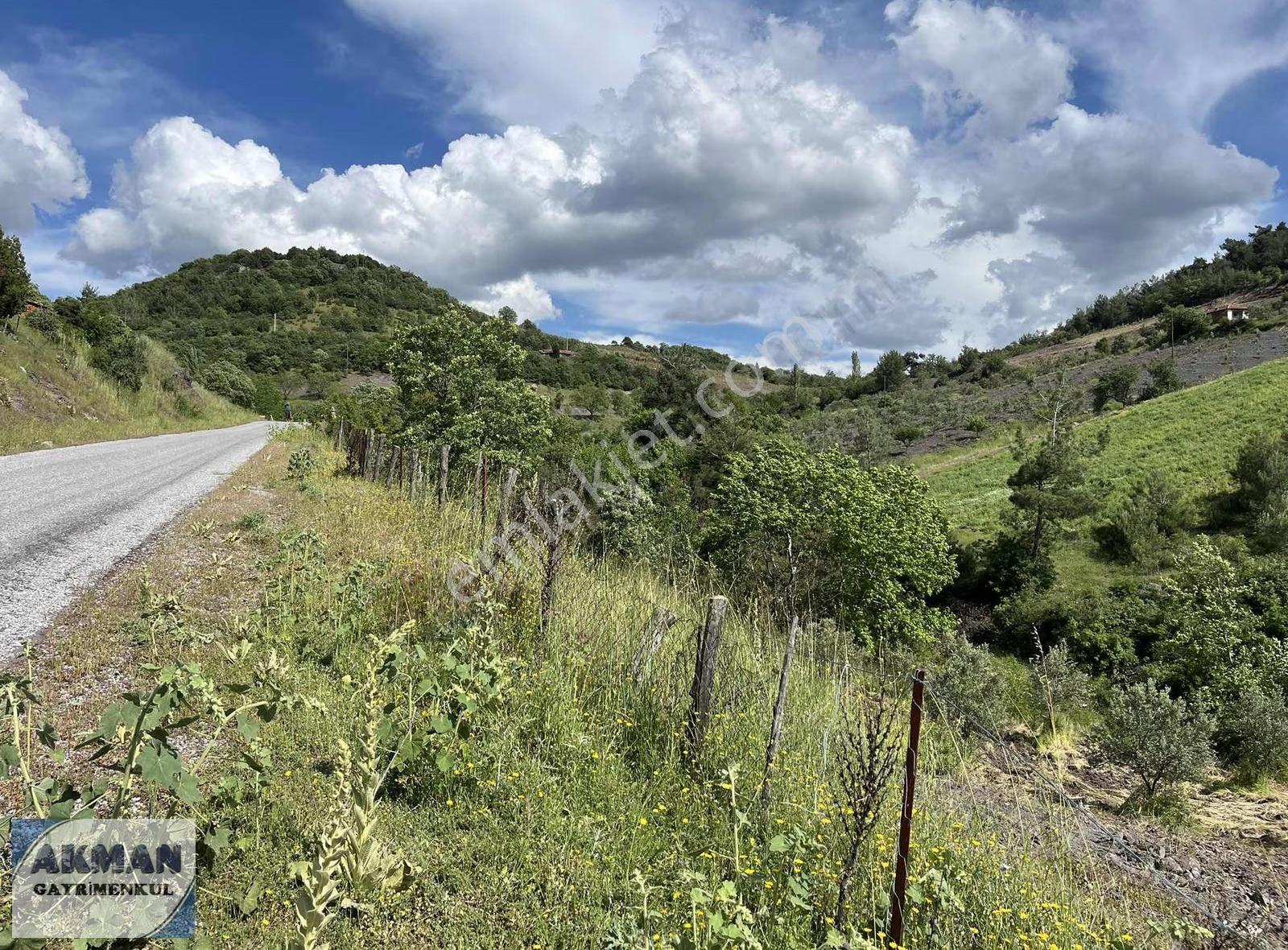 Kocakağan Mh De 22 Dönüm Antep Fıstığı İle Zeytin Lik - Görsel 13