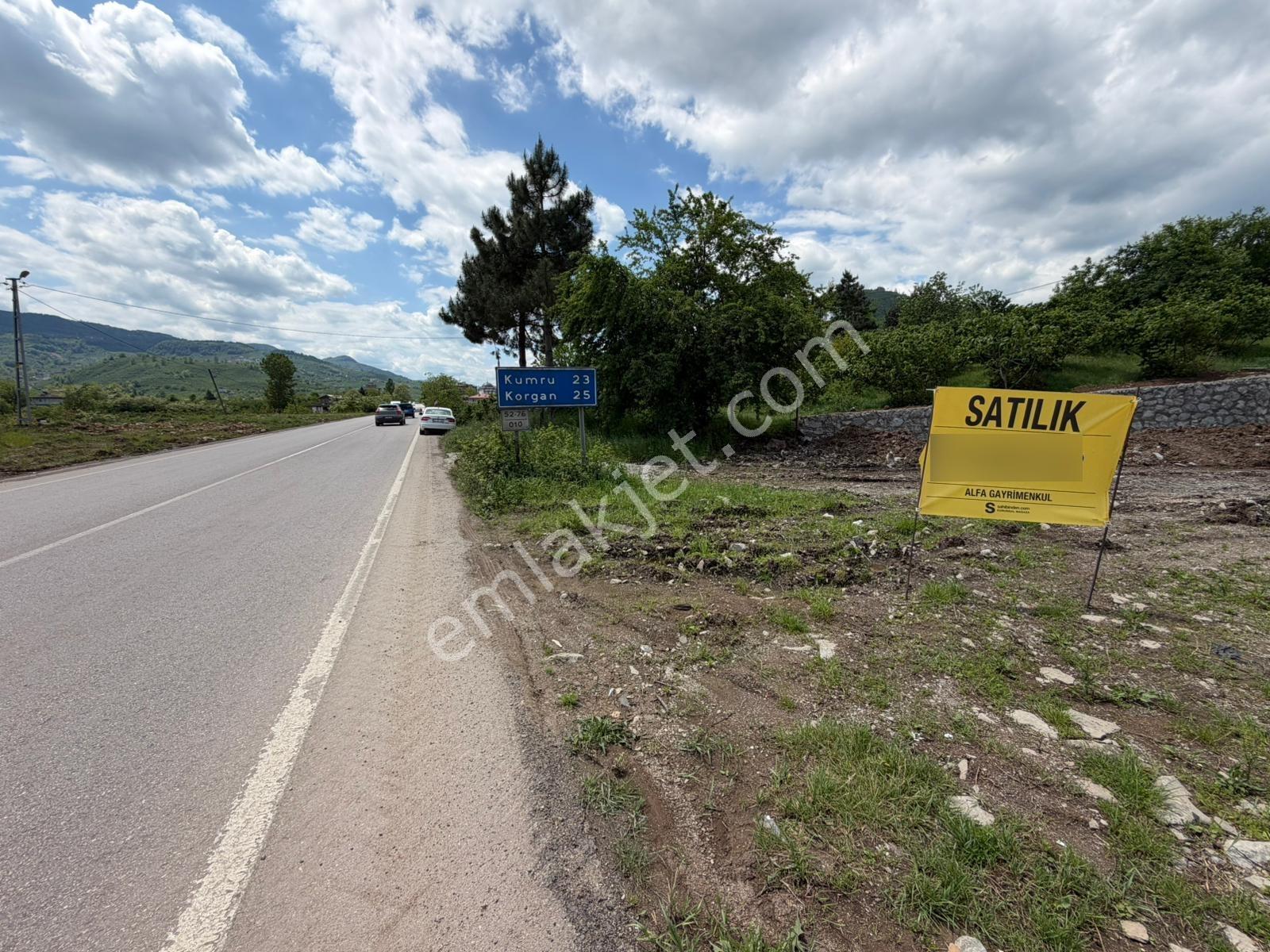 Kumru-korgan Yolunda Yola Cepheli Satılık Arsa - Görsel 5