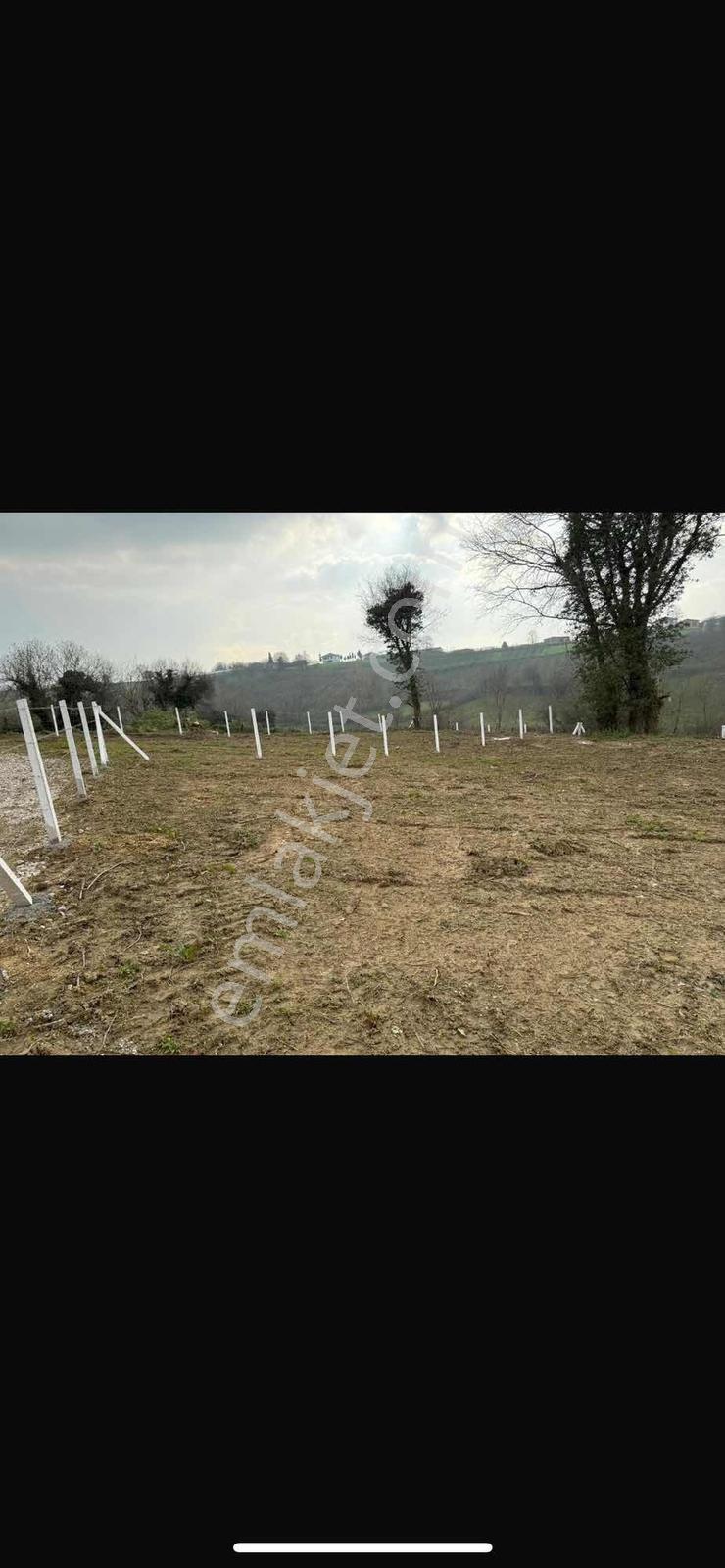 Sakarya Kaynarca Kırktepe Yola Cephe Son 2 Parsel Satılık - Görsel 20
