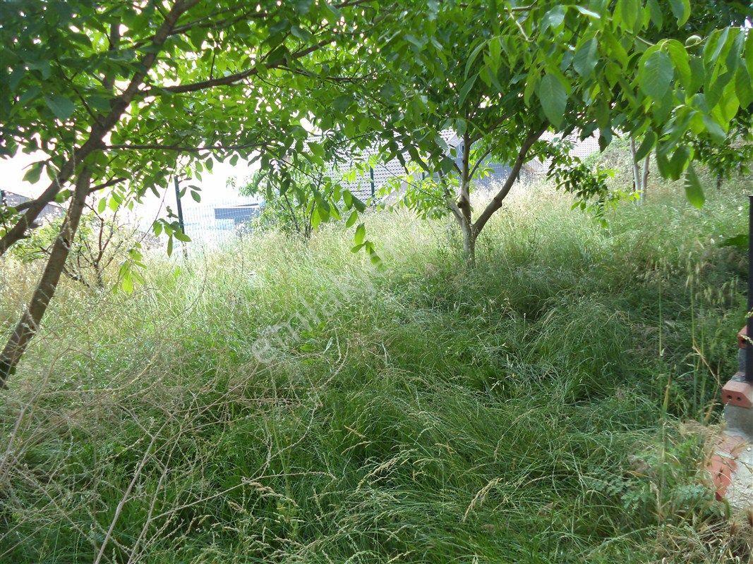 Mudanya Bademli'de 700 M2 Bahçeli Satılık Lüx Villa - Görsel 5