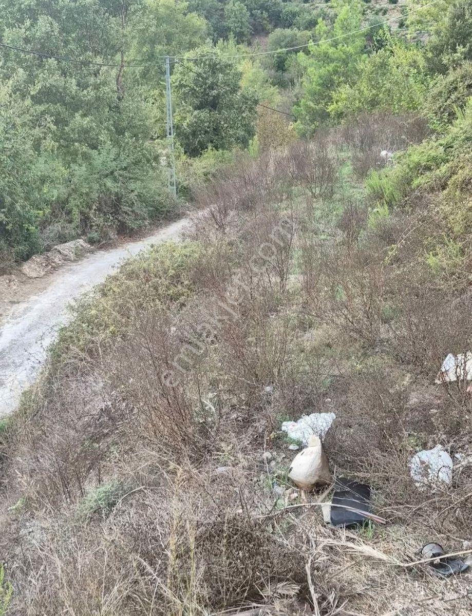 Alanya Demirtaş Sapadere'de Köyiçi Satılık Tarla Çay'a 250 Metre - Görsel 5