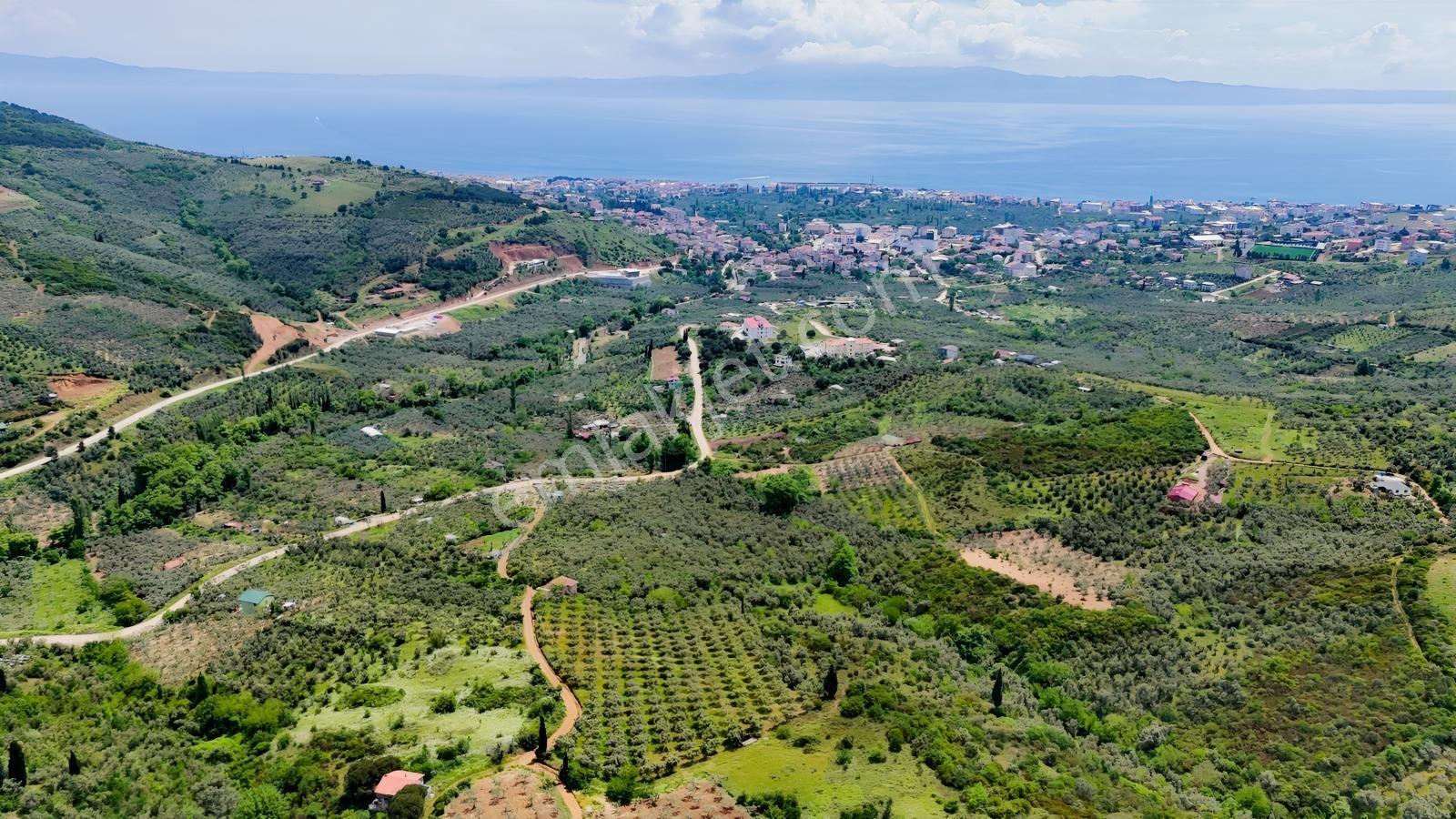 Termal Turizm Alanında İmara Yakın 26.192m2 Fırsat Zeytinlik - Görsel 28