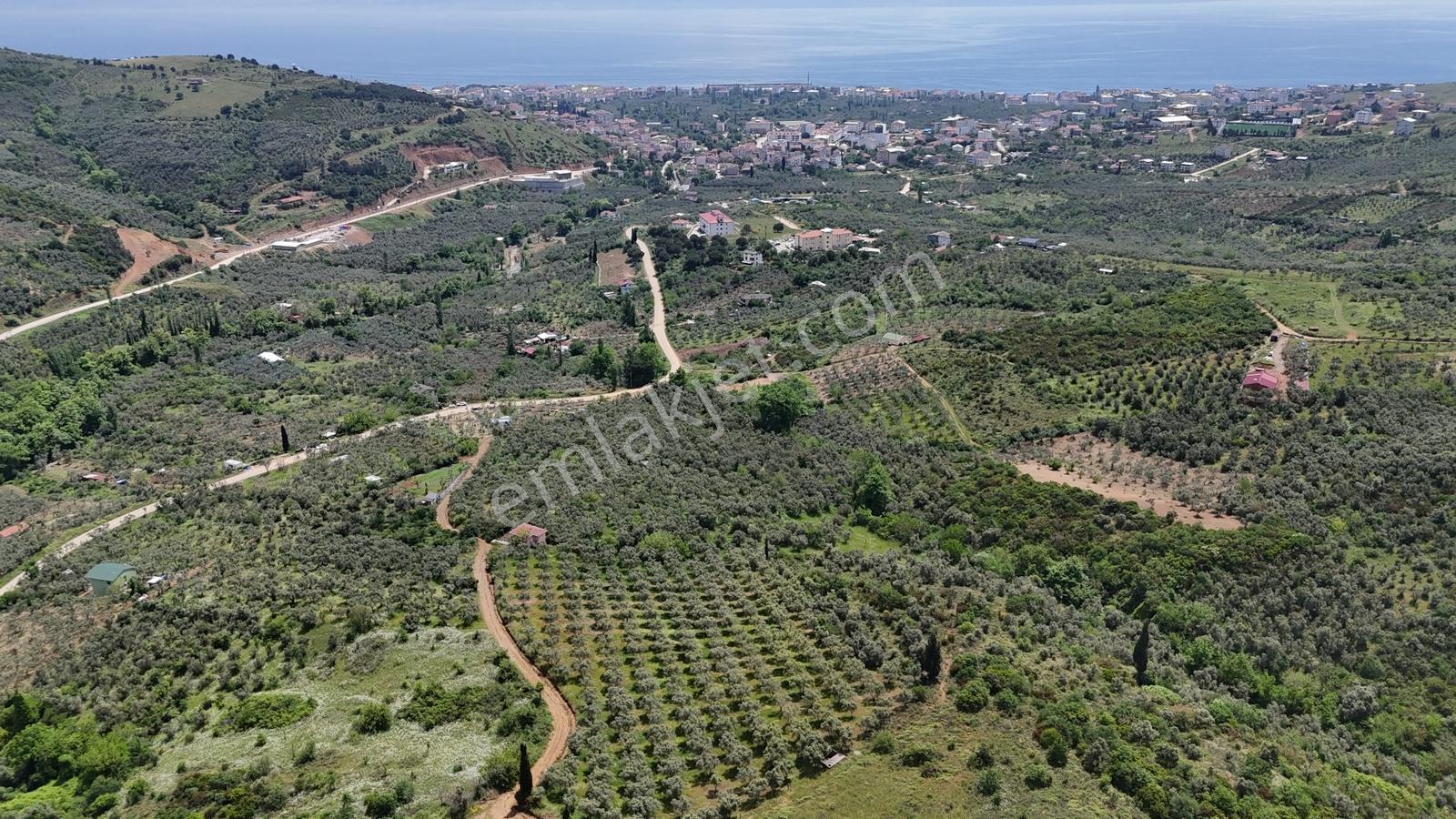 Termal Turizm Alanında İmara Yakın 26.192m2 Fırsat Zeytinlik - Görsel 6