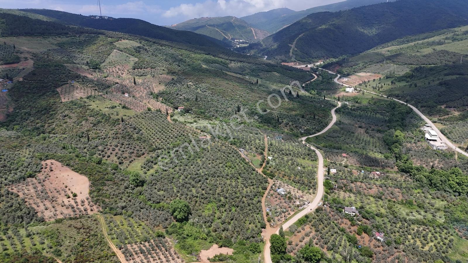 Termal Turizm Alanında İmara Yakın 26.192m2 Fırsat Zeytinlik - Görsel 18